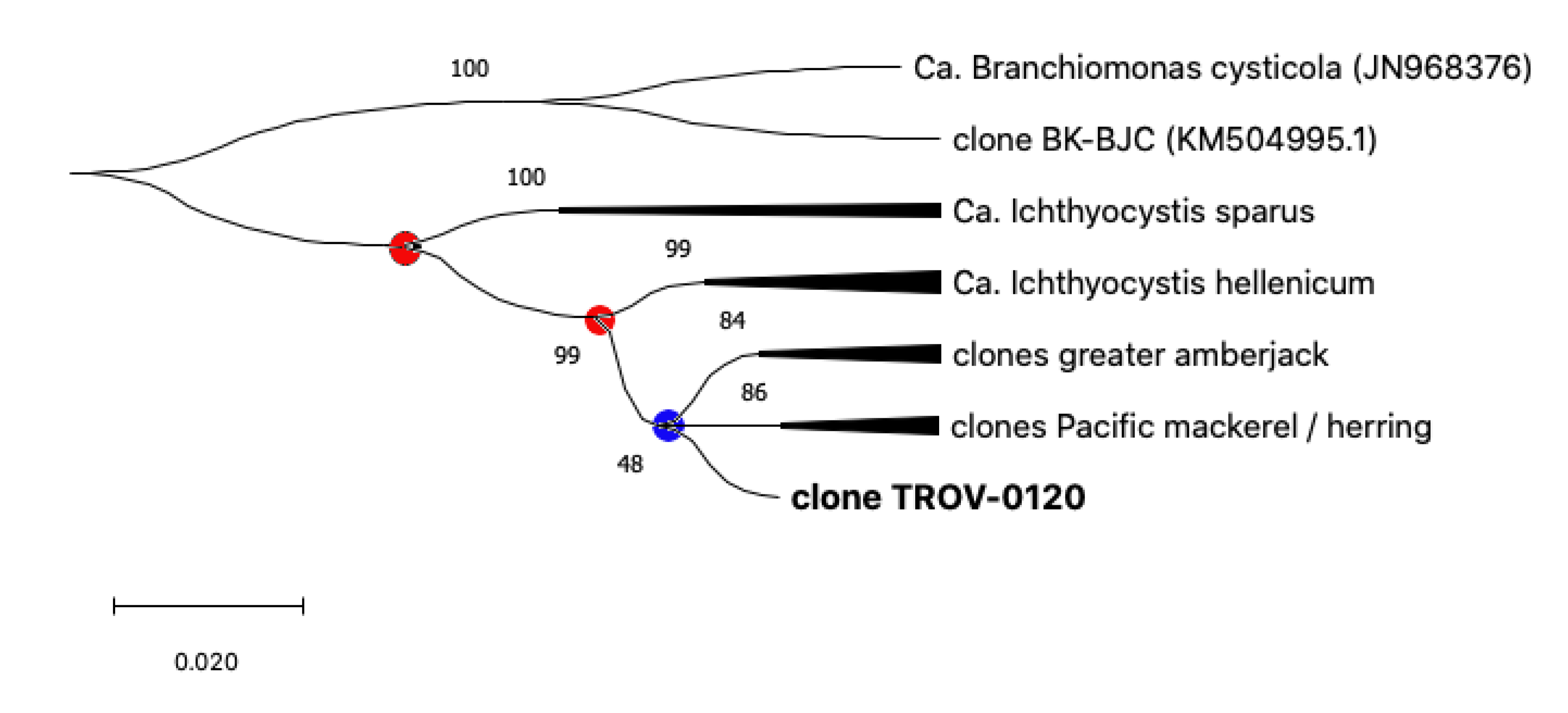 Pathogens 11 00421 g004