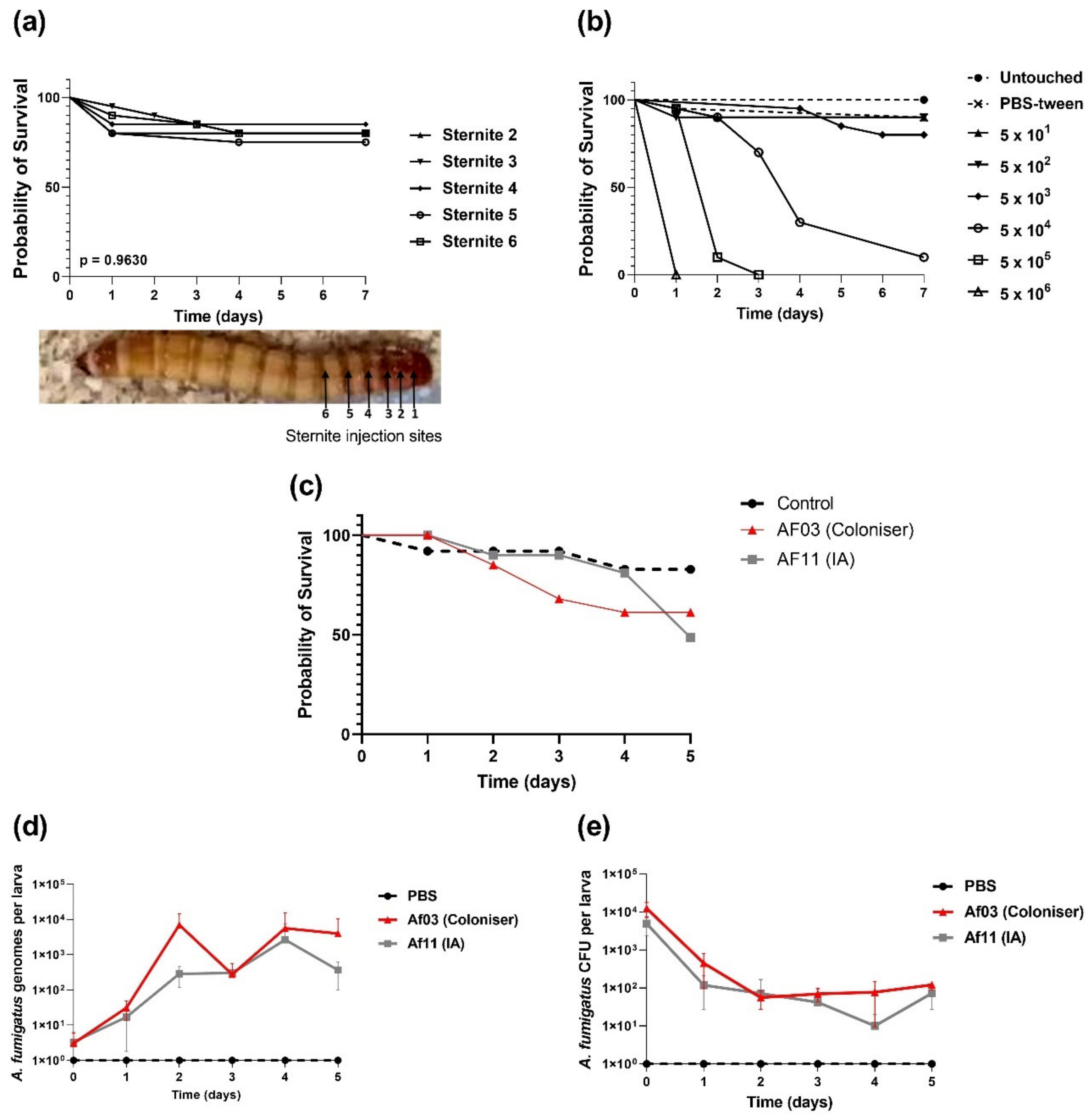Pathogens 11 00428 g003 Pathogens 11 00428 g003