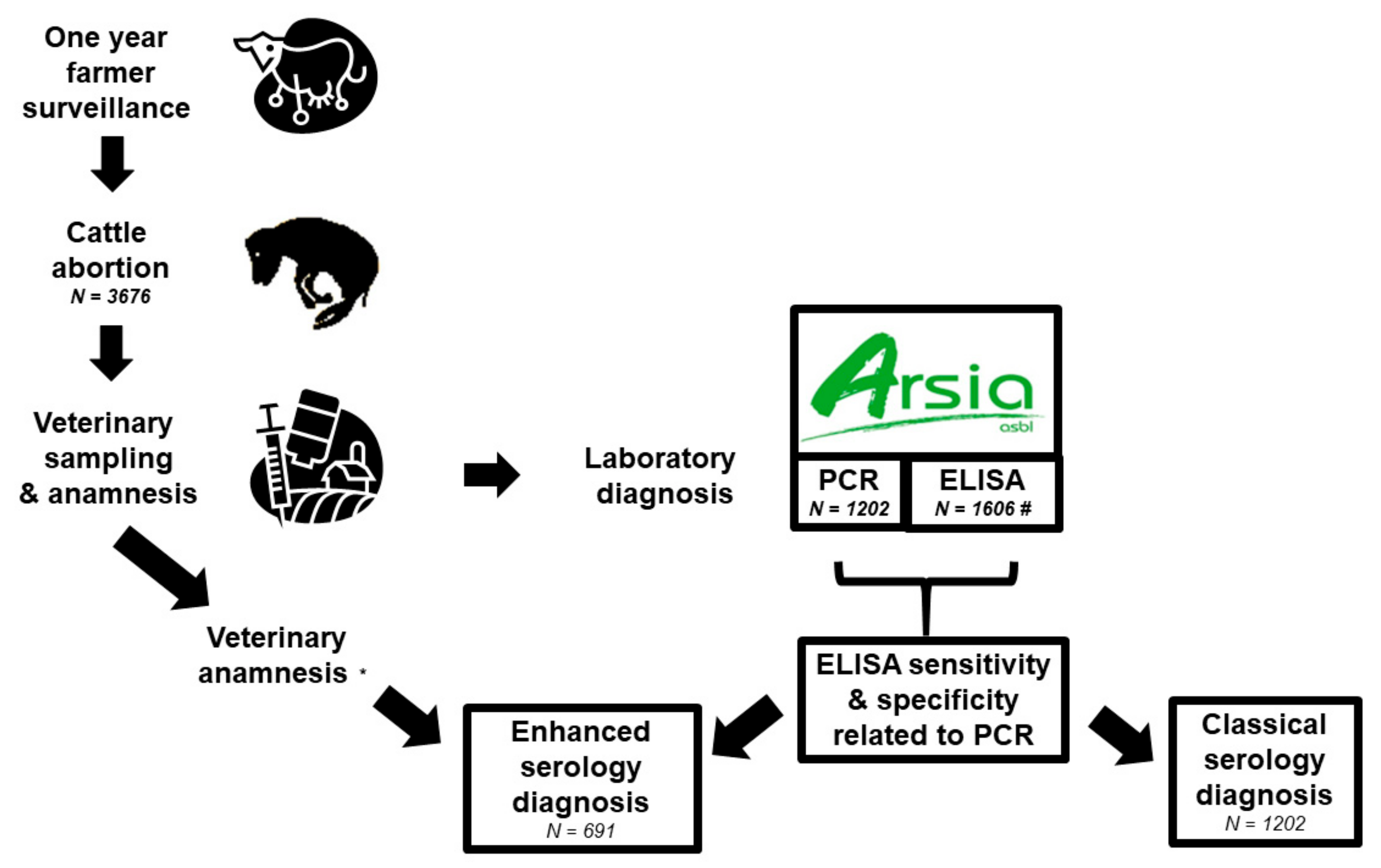 Pathogens 11 00429 g006