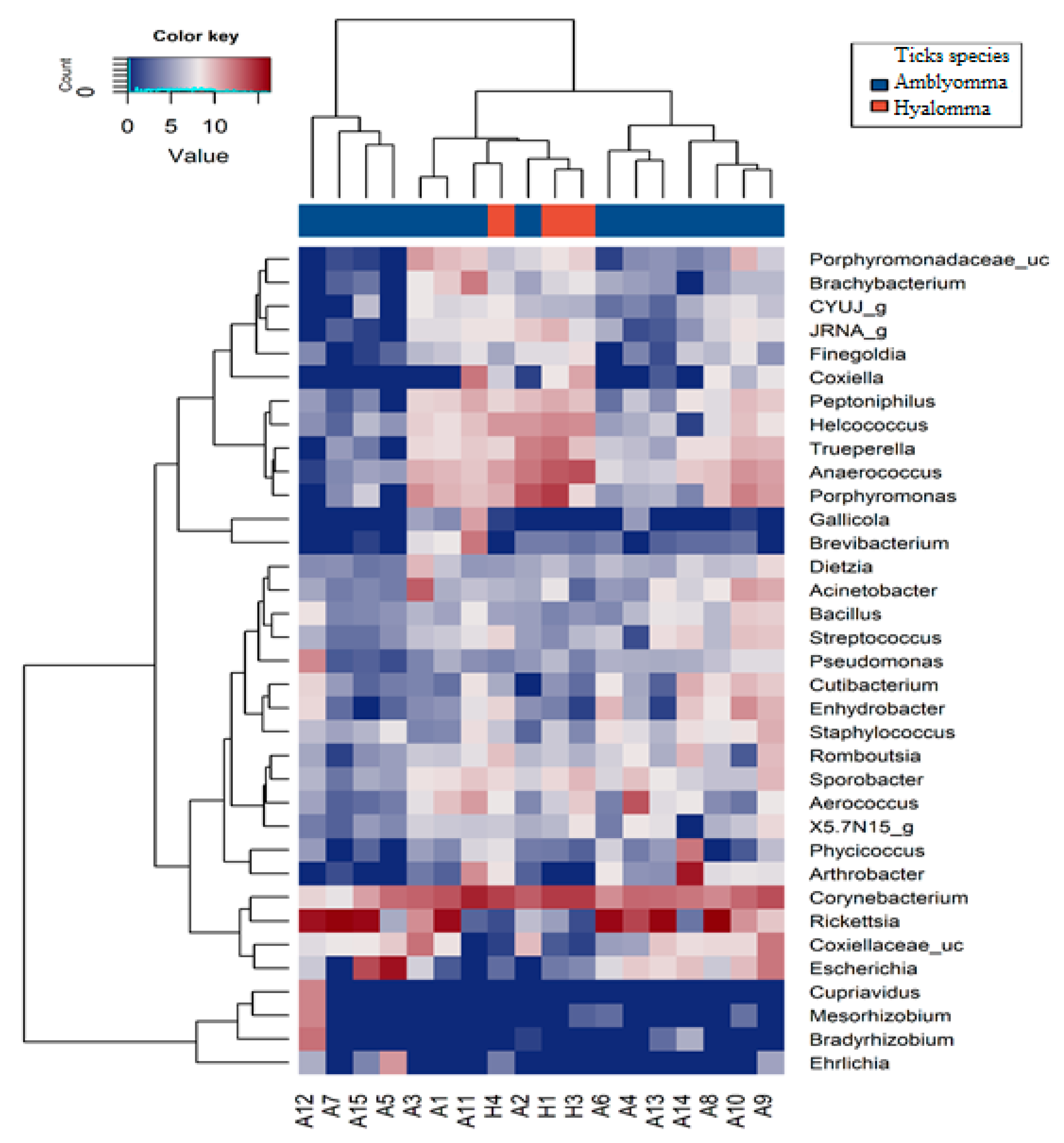 Pathogens 11 00432 g004