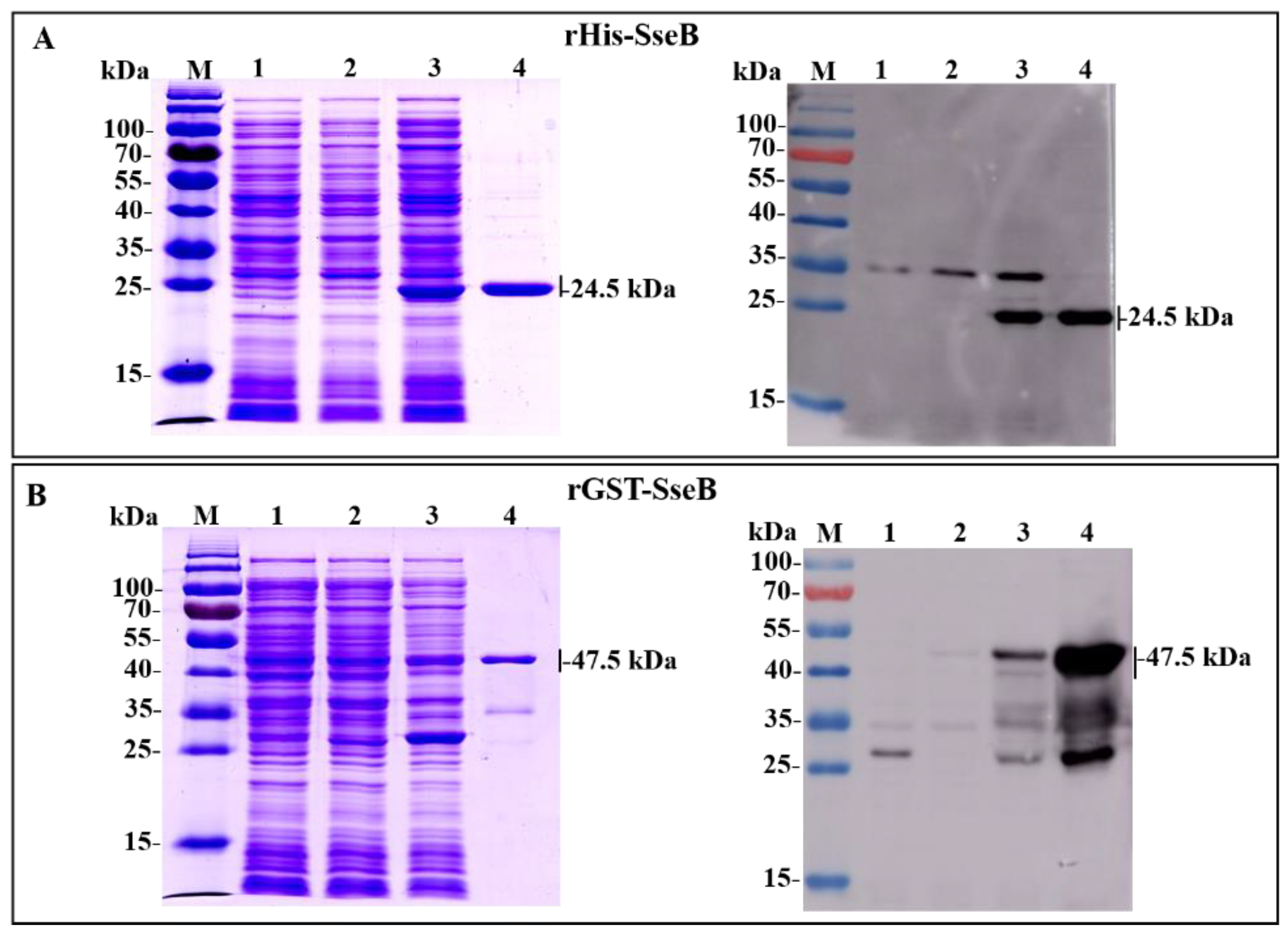 Pathogens 11 00443 g001