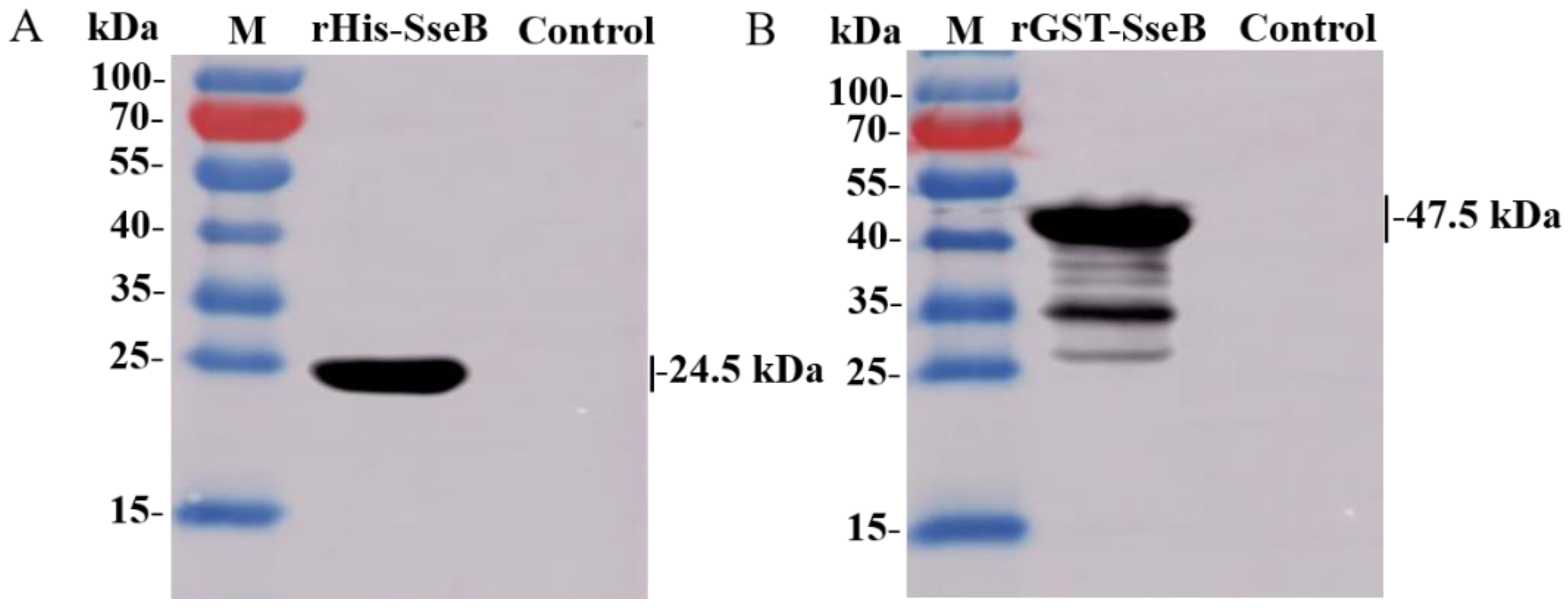 Pathogens 11 00443 g002