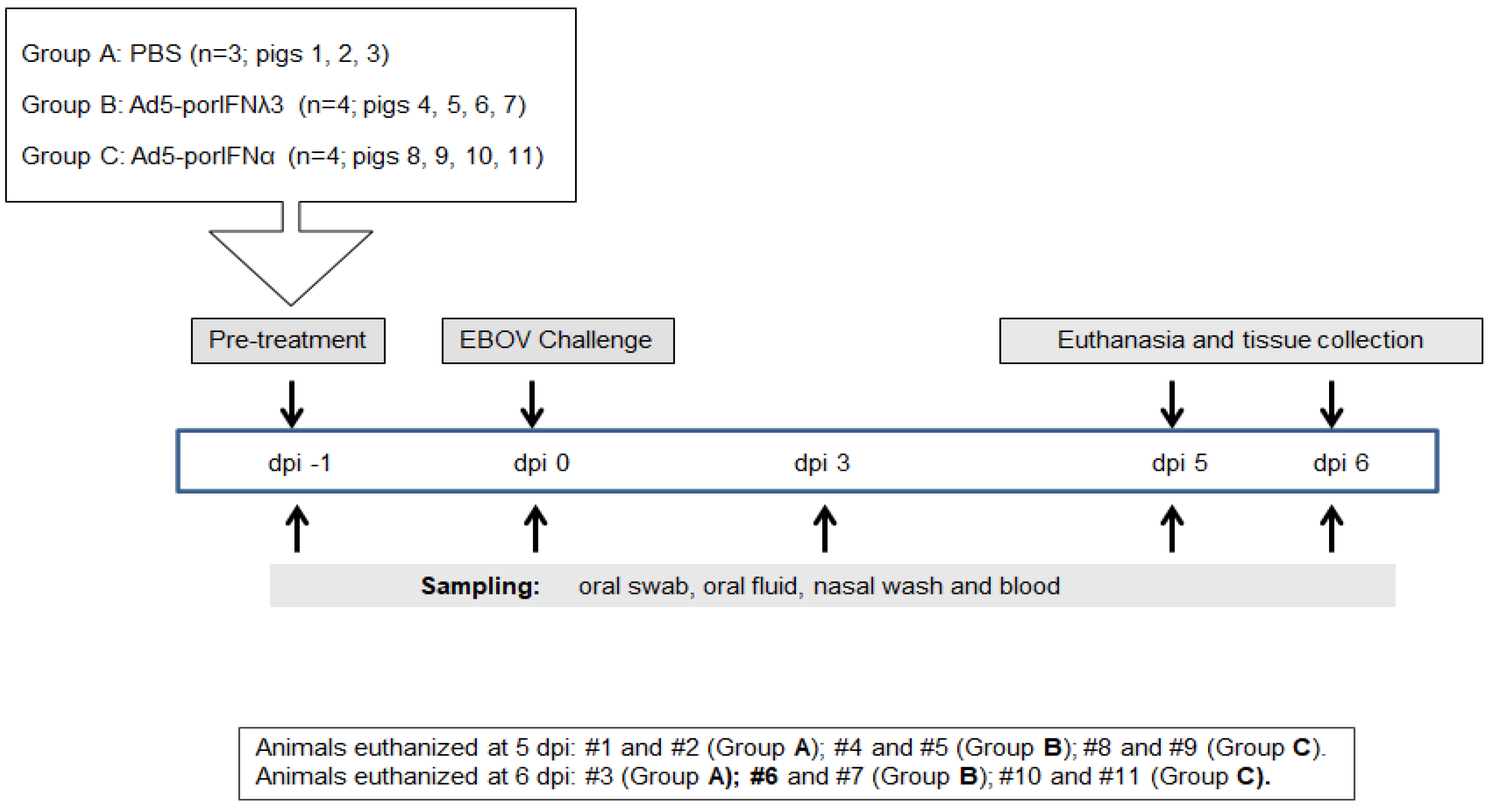 Pathogens 11 00449 g001 Pathogens 11 00449 g001
