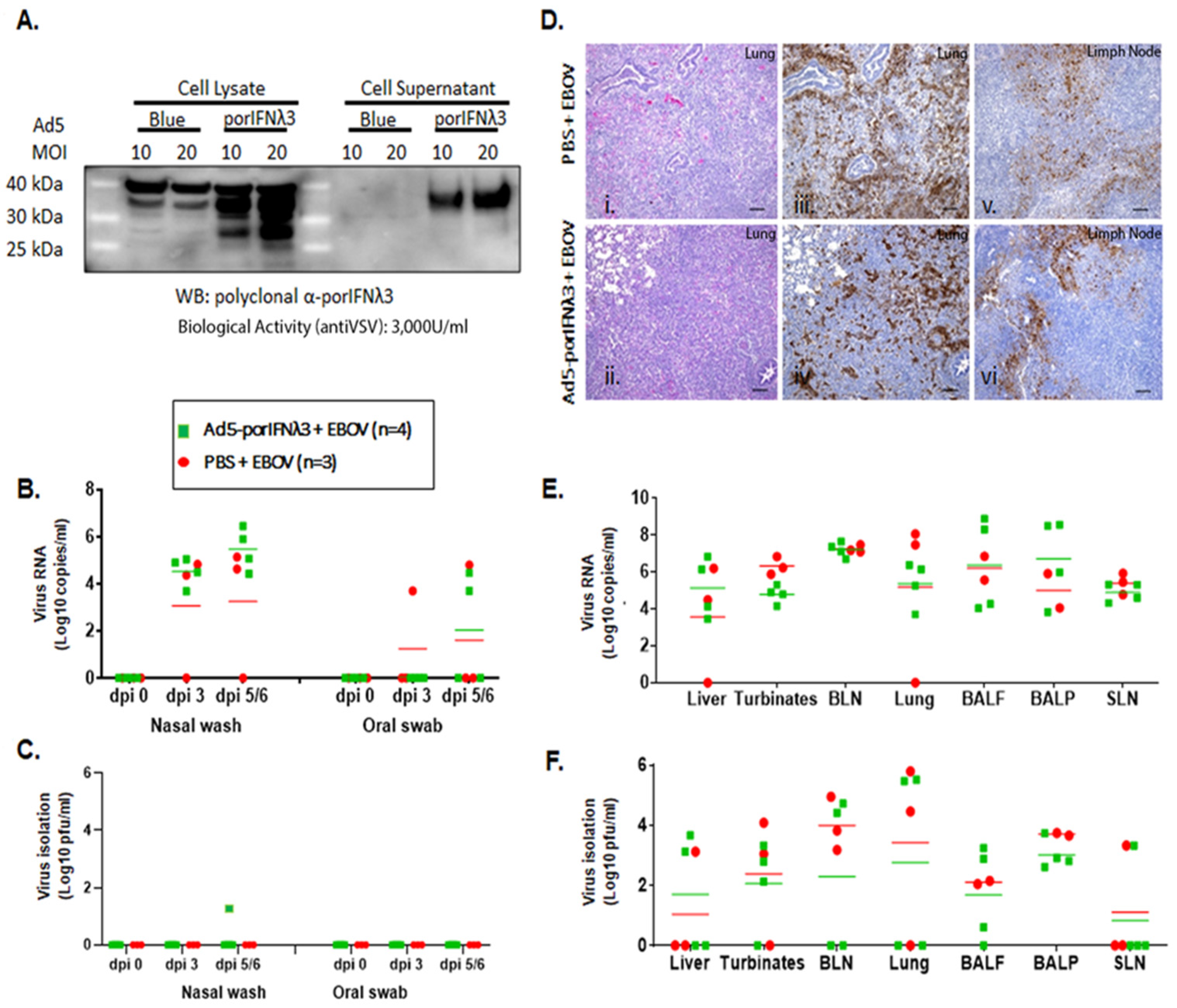 Pathogens 11 00449 g002 Pathogens 11 00449 g002