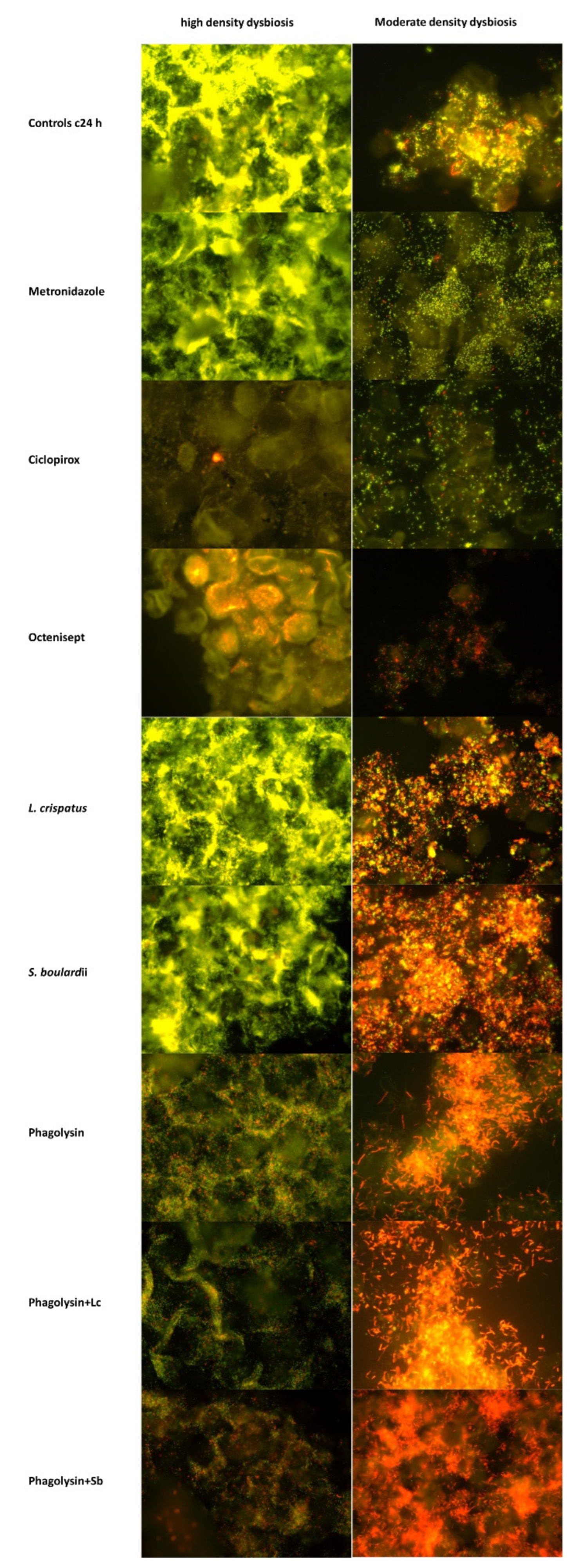 Pathogens 11 00456 g002 550