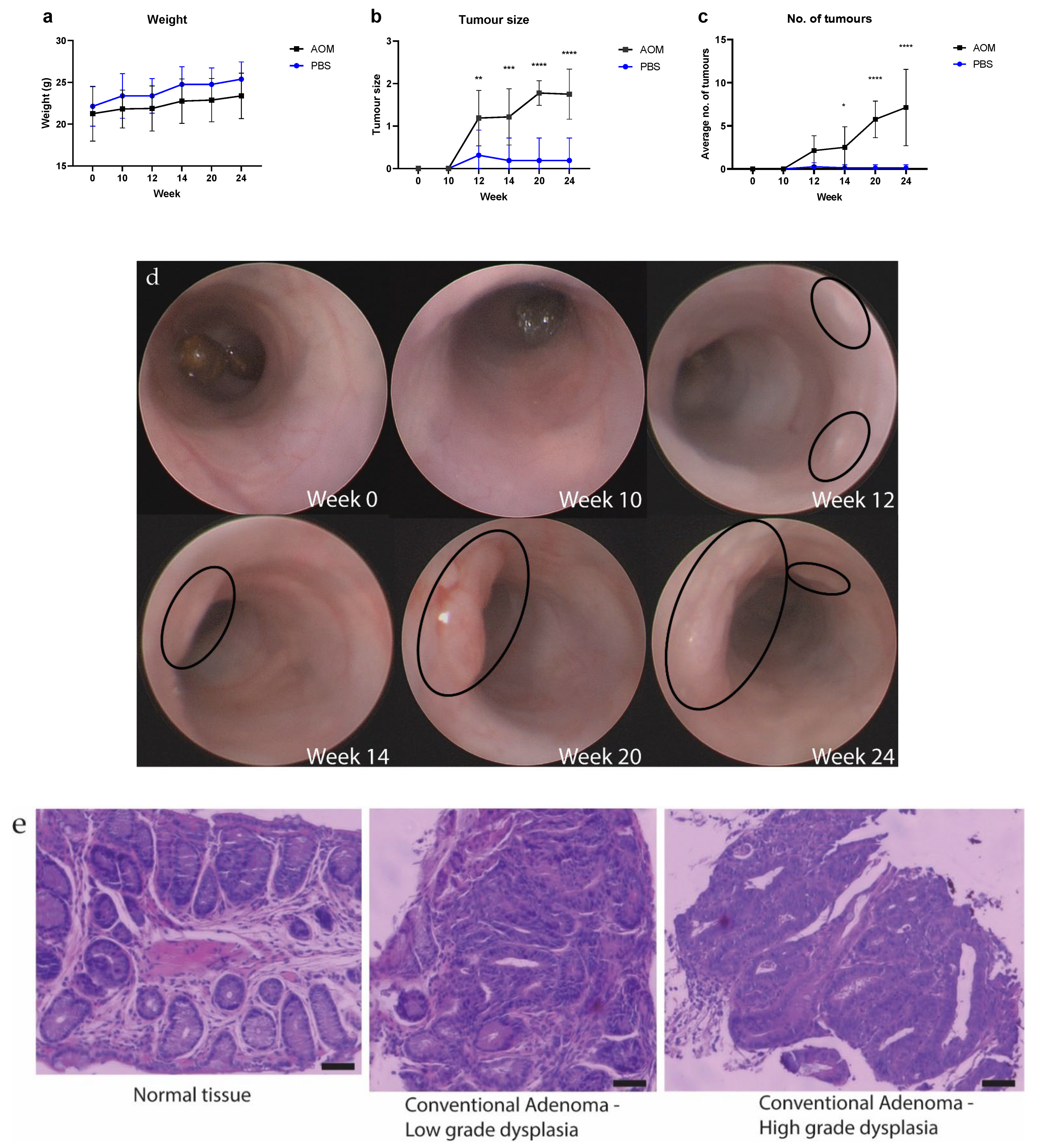 Pathogens 11 00457 g001 550
