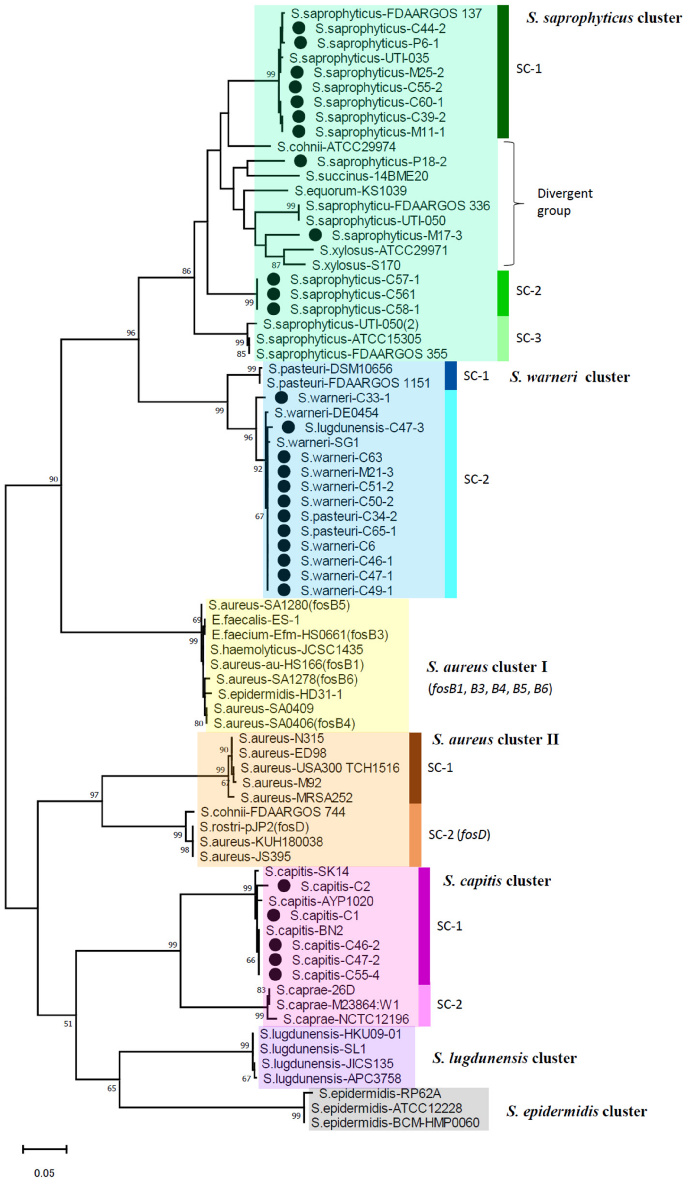 Pathogens 11 00469 g001 550