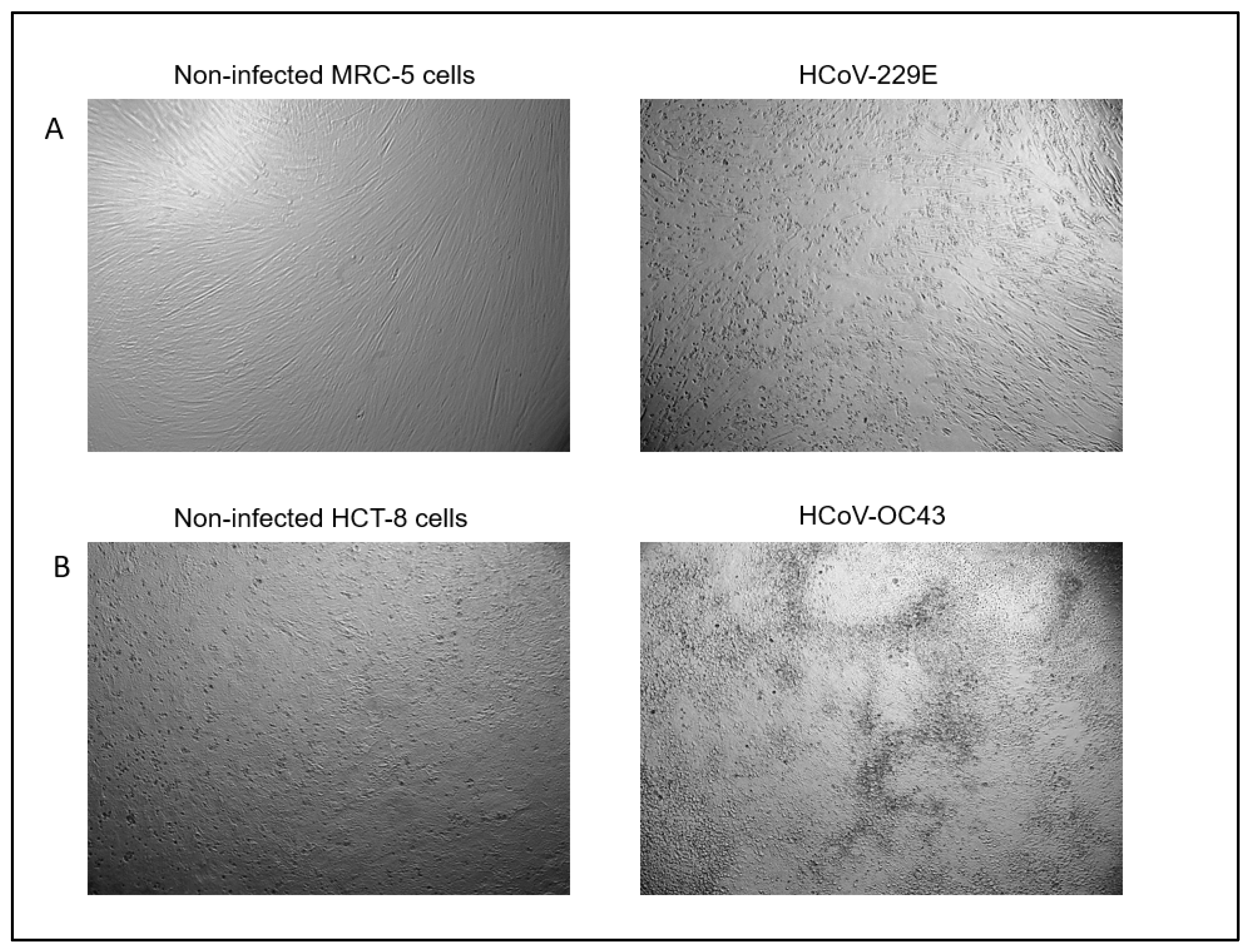 Pathogens 11 00472 g003