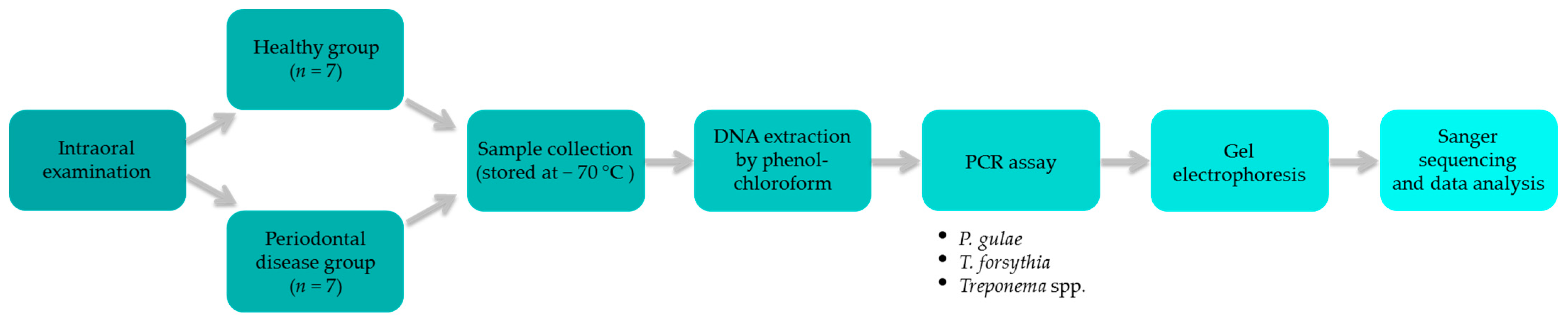 Pathogens 11 00480 g001 Pathogens 11 00480 g001