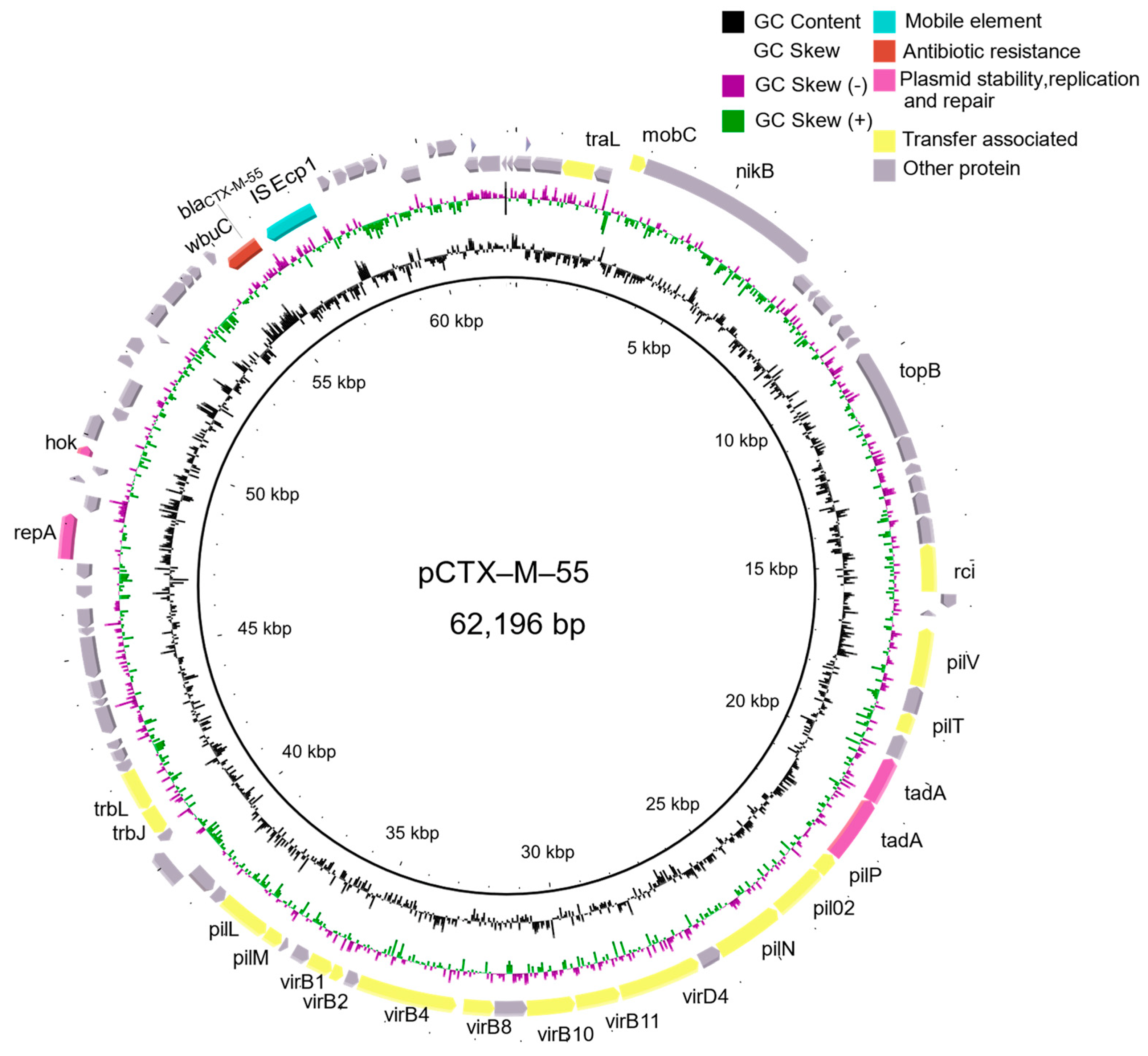 Pathogens 11 00481 g001