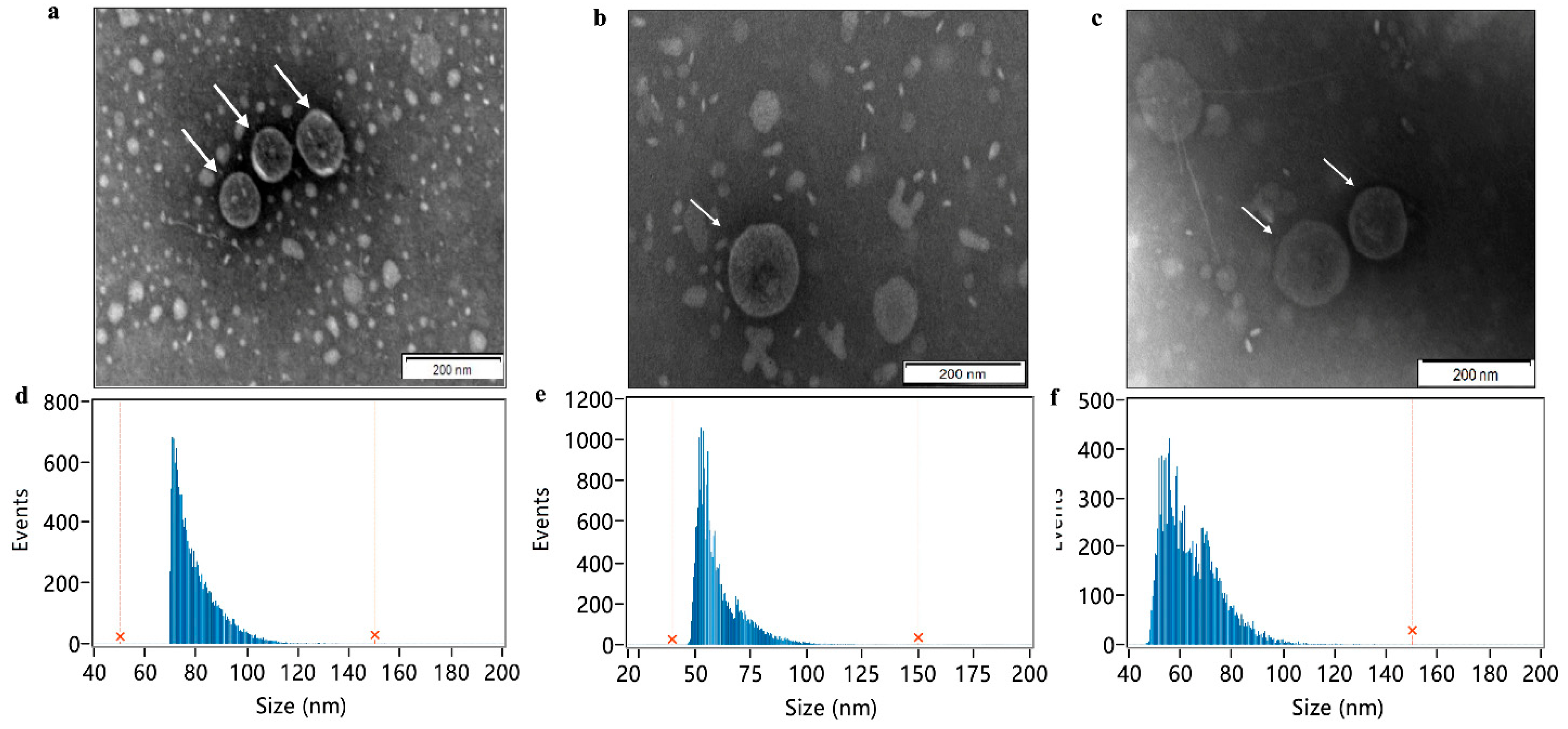 Pathogens 11 00481 g002