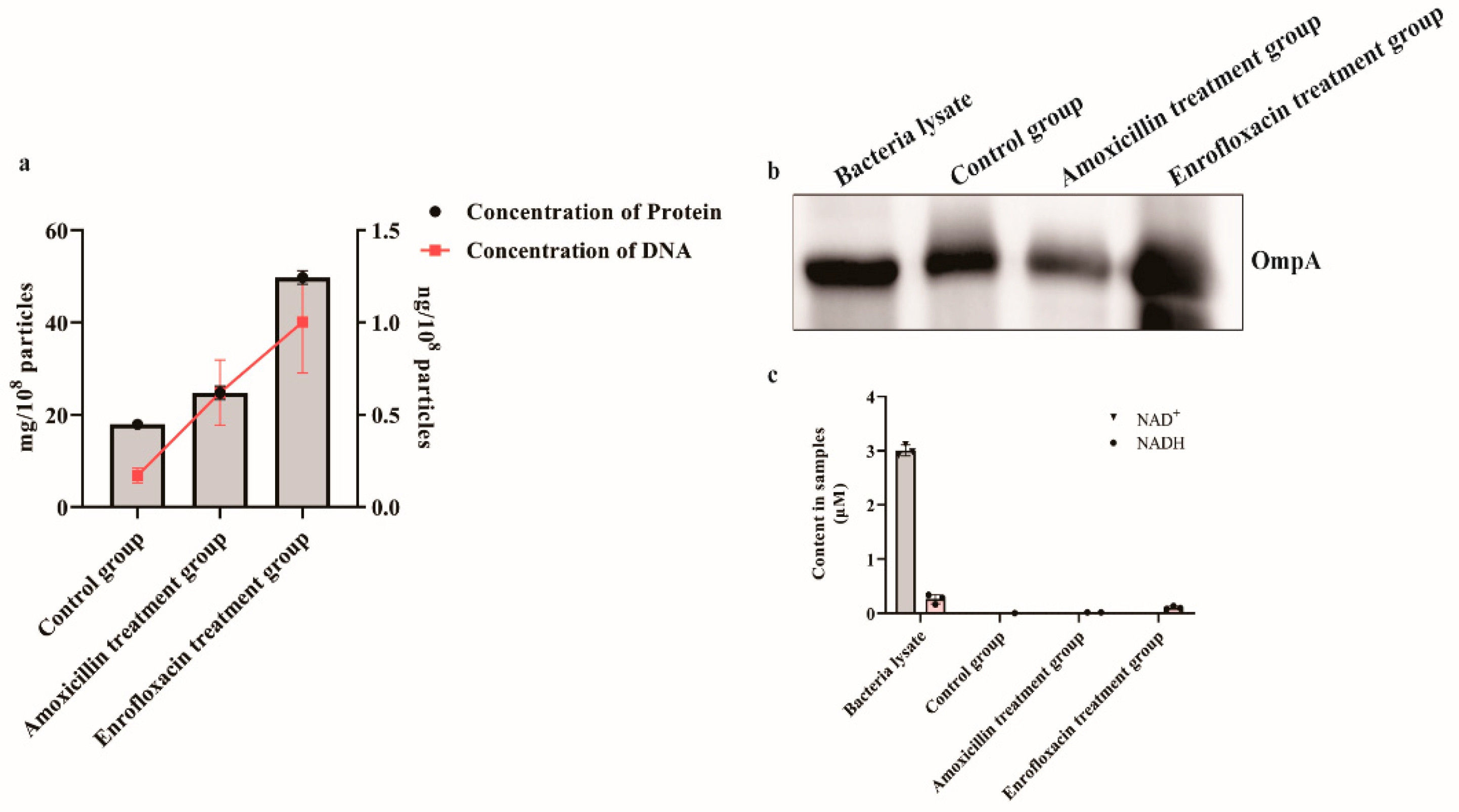 Pathogens 11 00481 g003