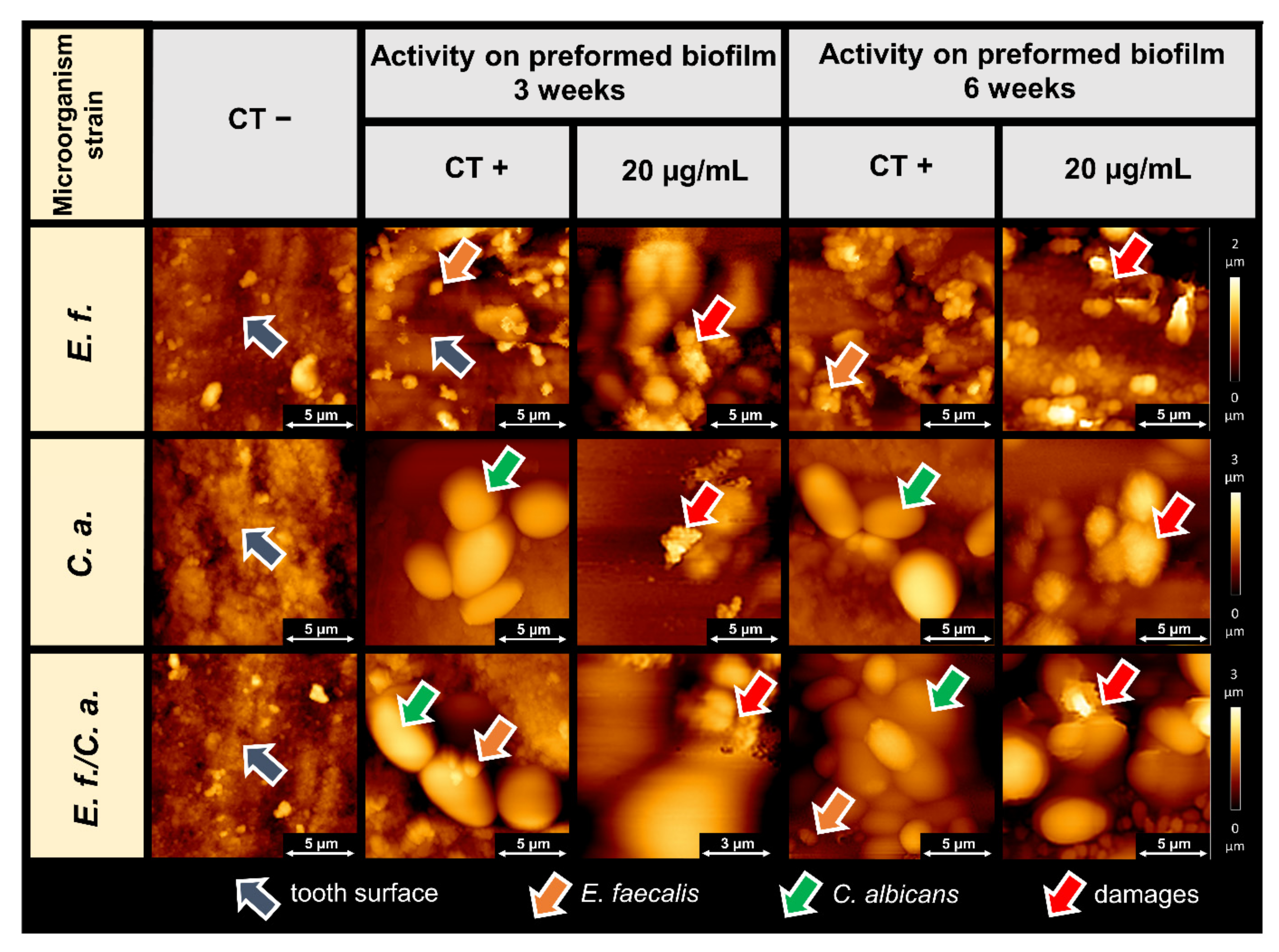 Pathogens 11 00491 g002 Pathogens 11 00491 g002