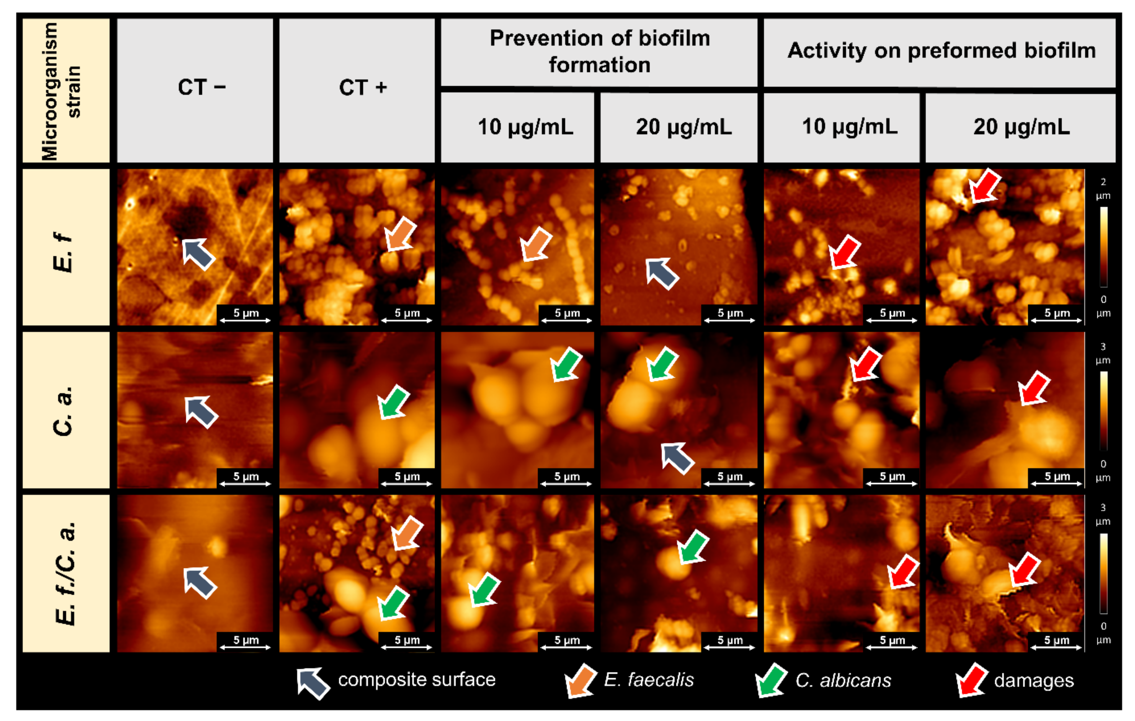 Pathogens 11 00491 g003 Pathogens 11 00491 g003