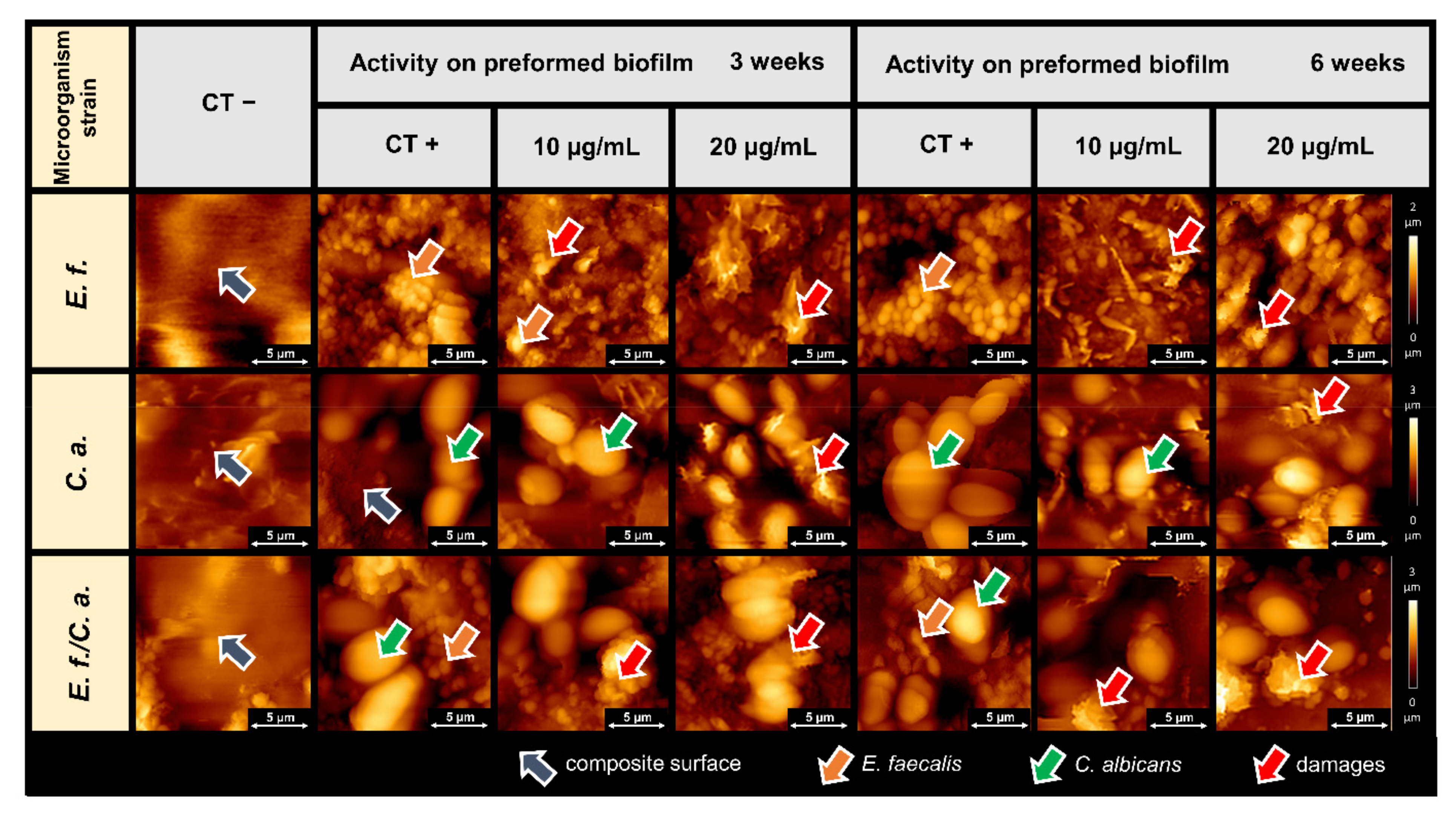 Pathogens 11 00491 g004 Pathogens 11 00491 g004