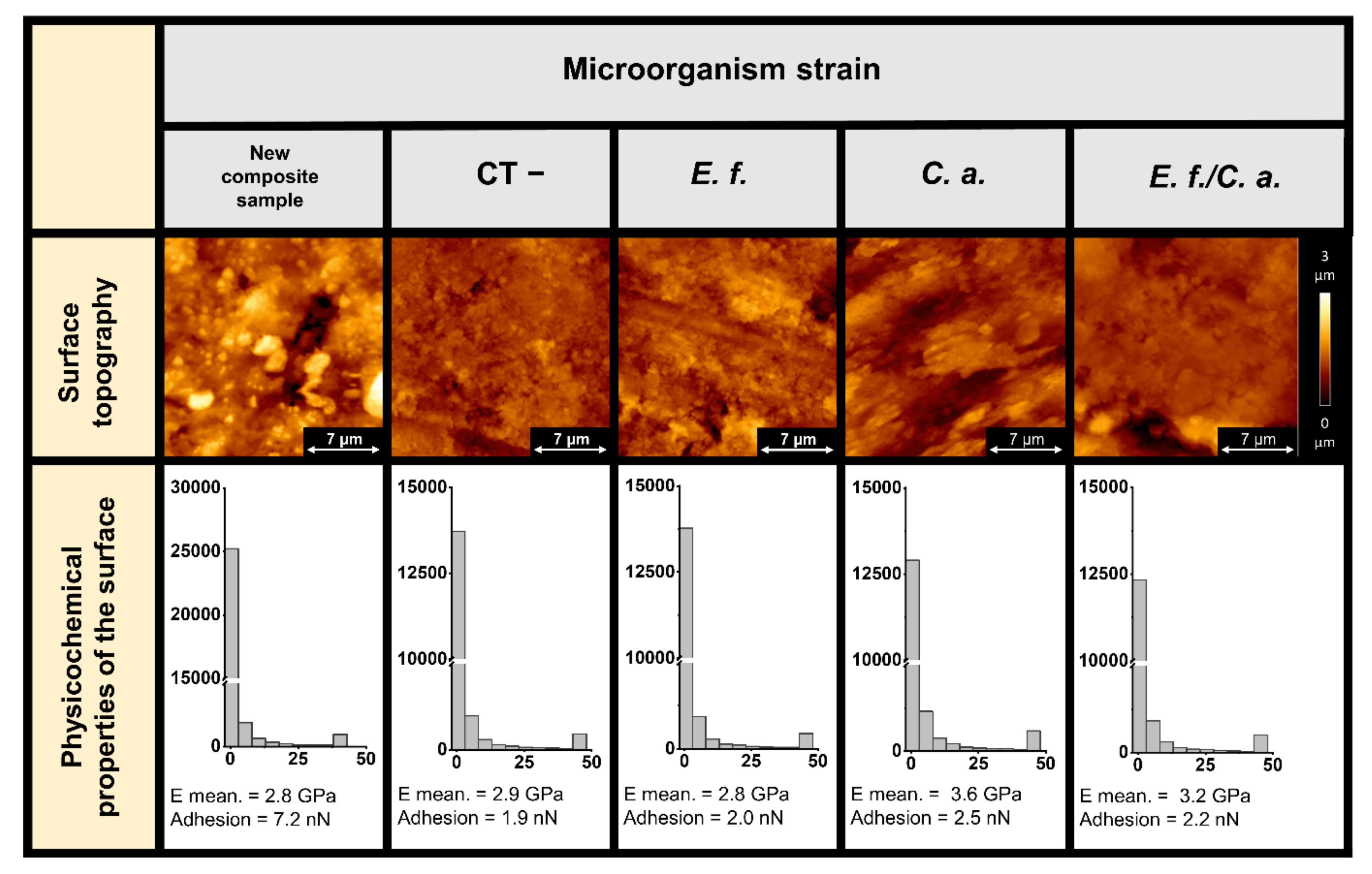 Pathogens 11 00491 g006 Pathogens 11 00491 g006