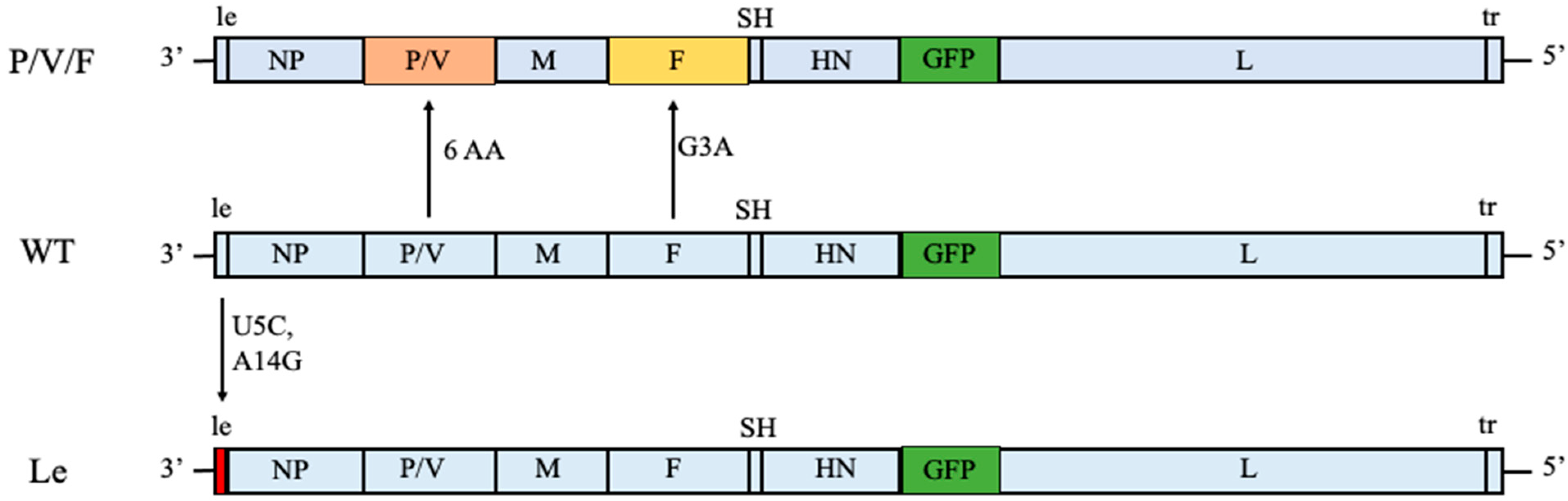 Pathogens 11 00493 g001 550