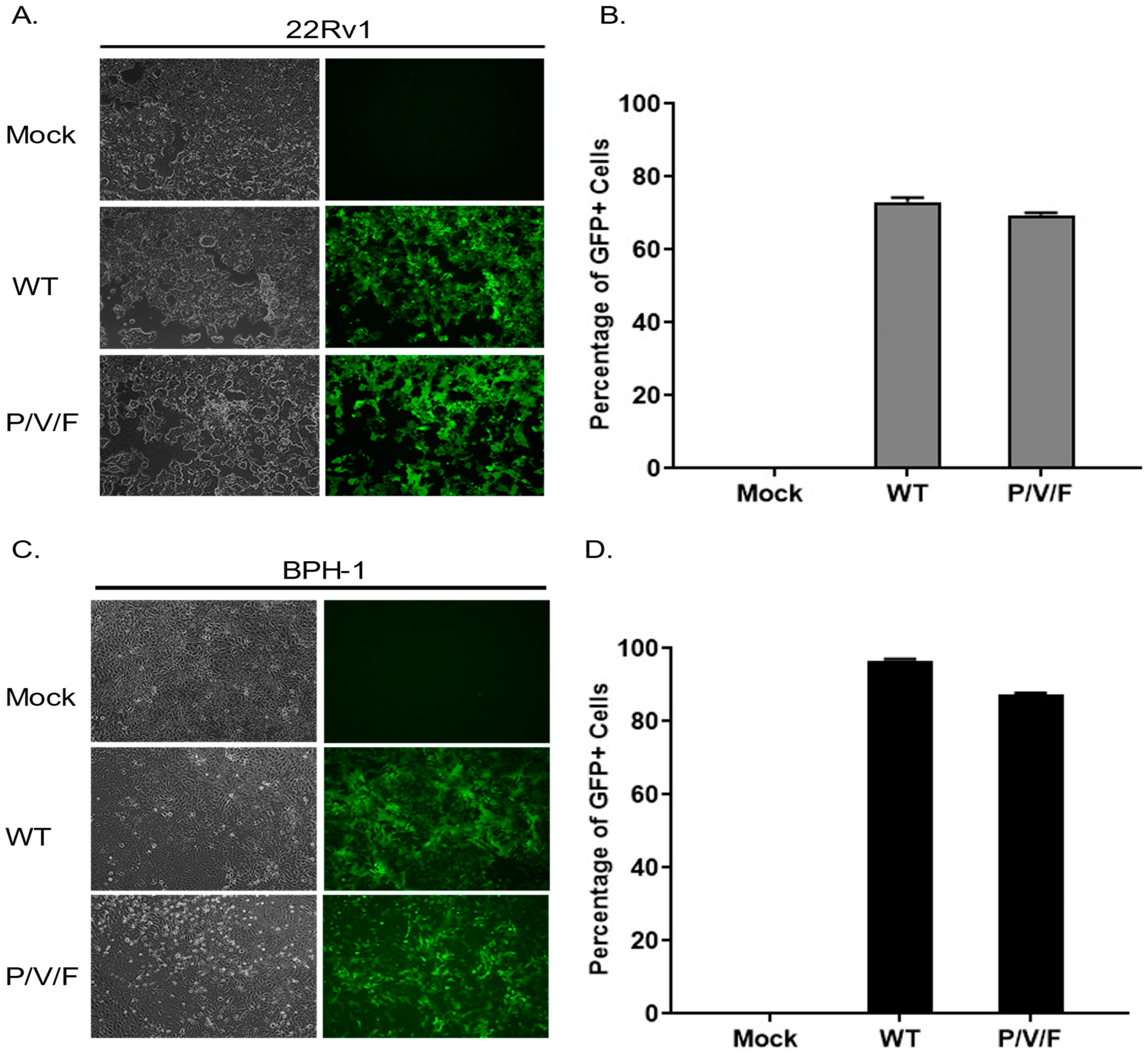 Pathogens 11 00493 g003 550
