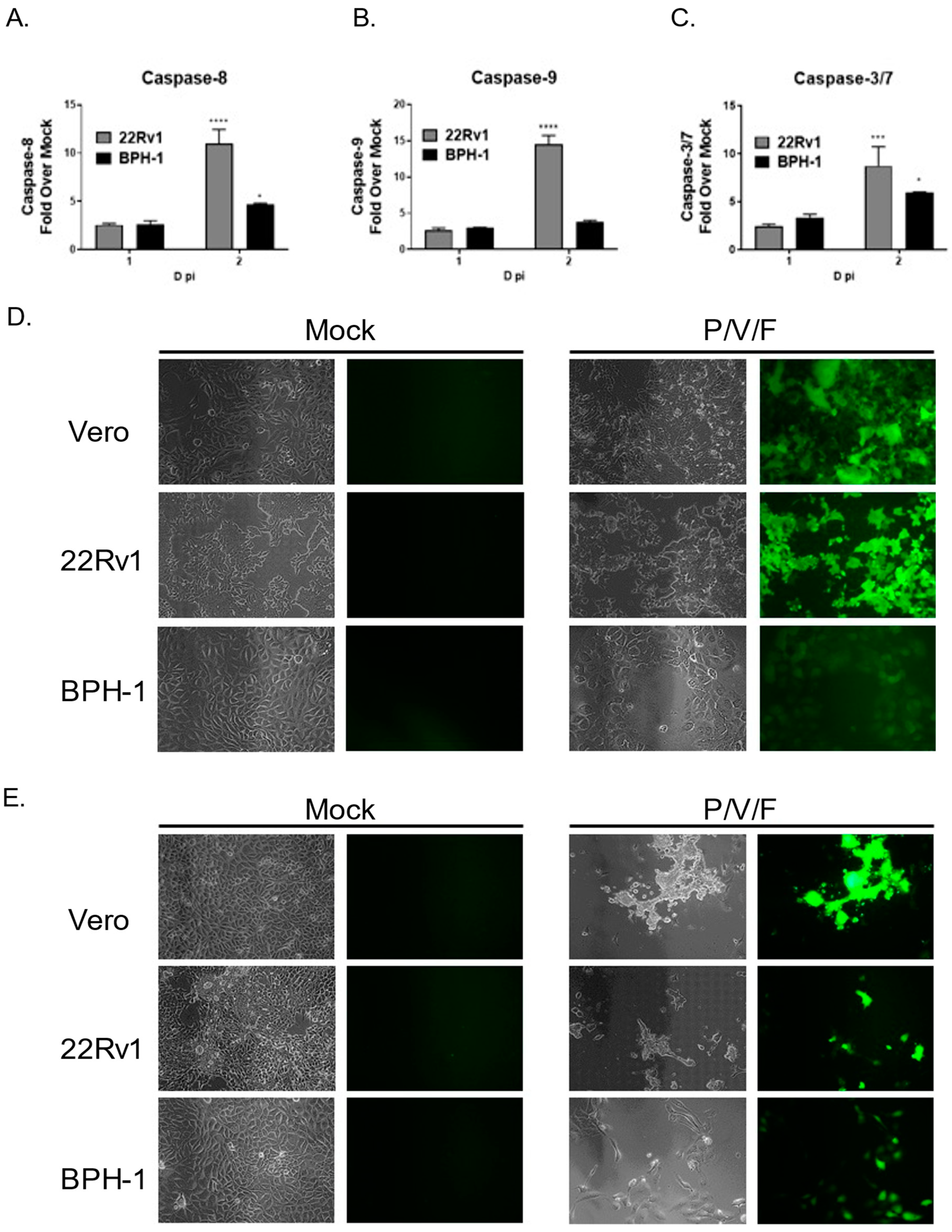 Pathogens 11 00493 g008 550