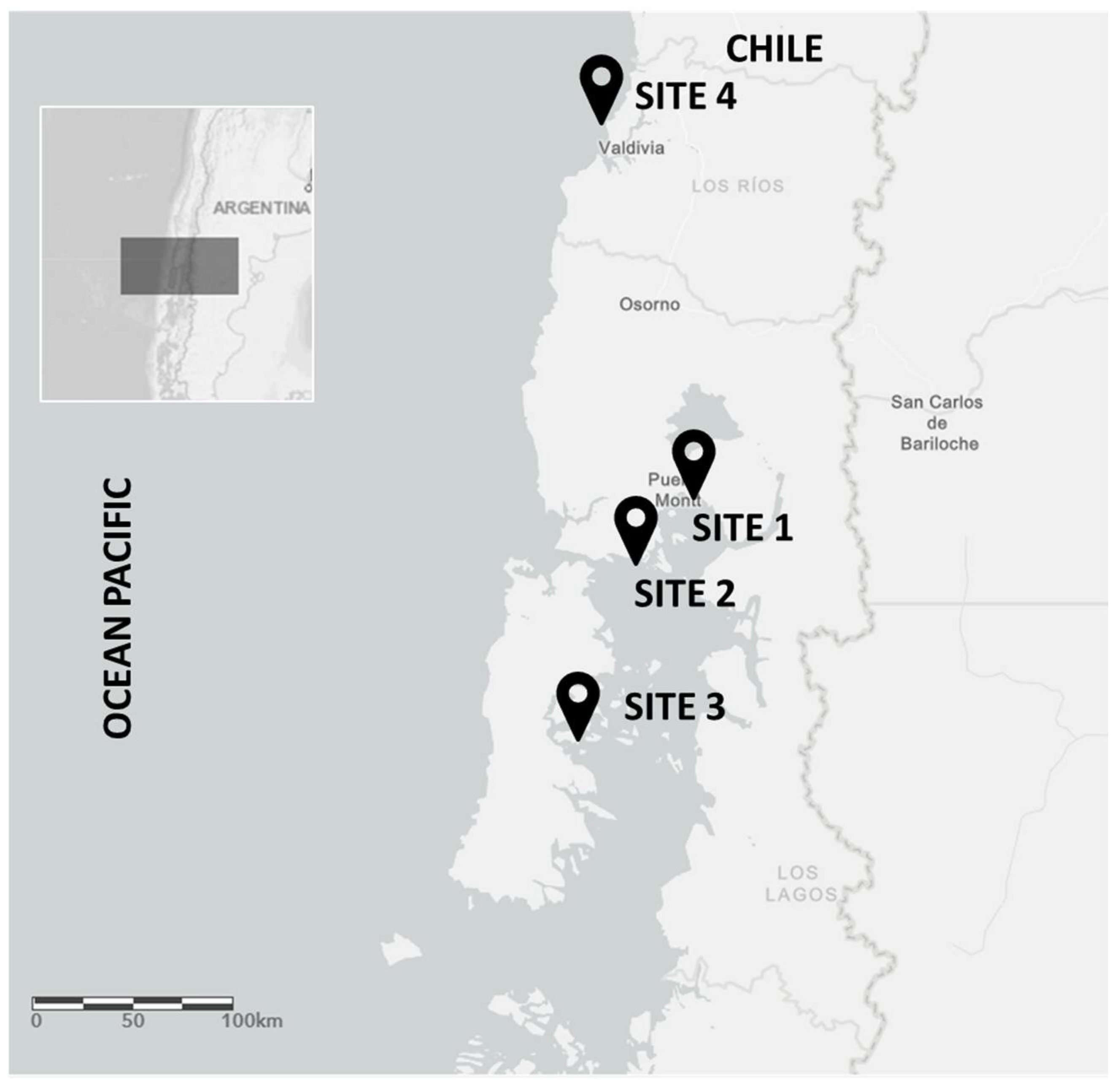 Pathogens 11 00494 g001