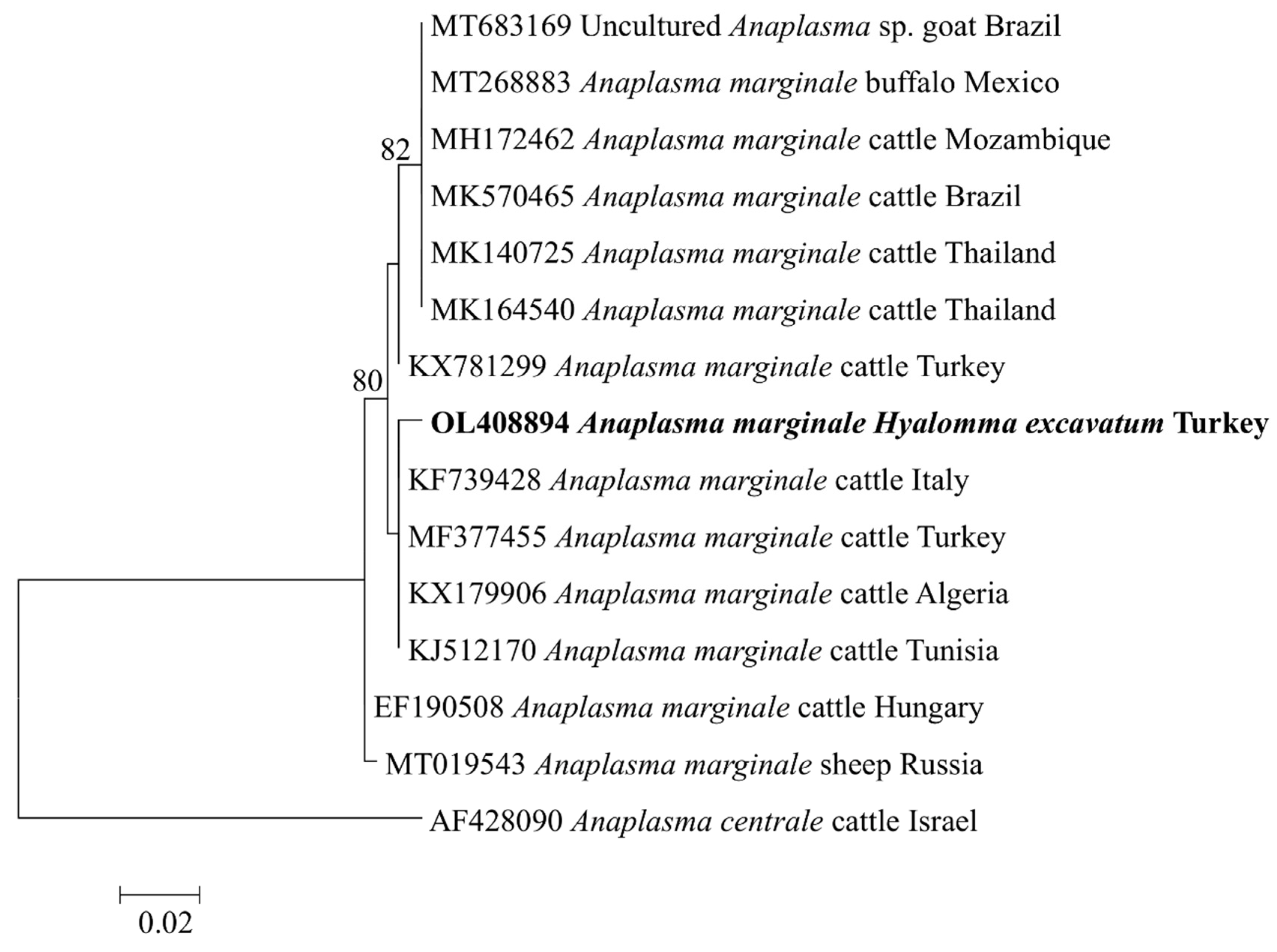 Pathogens 11 00500 g002