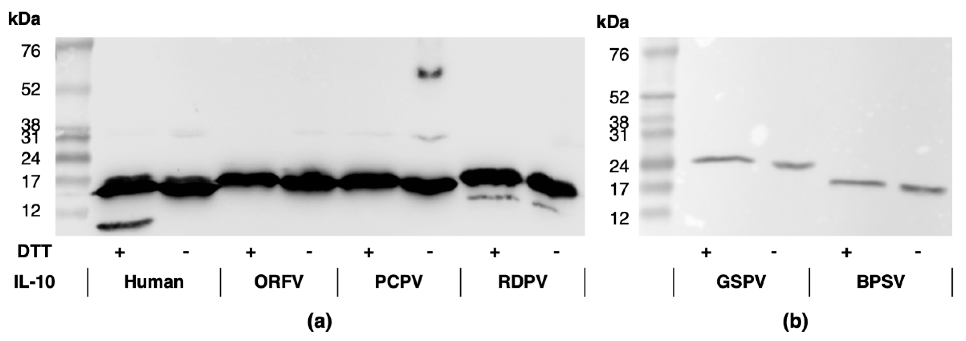 Pathogens 11 00507 g002 550