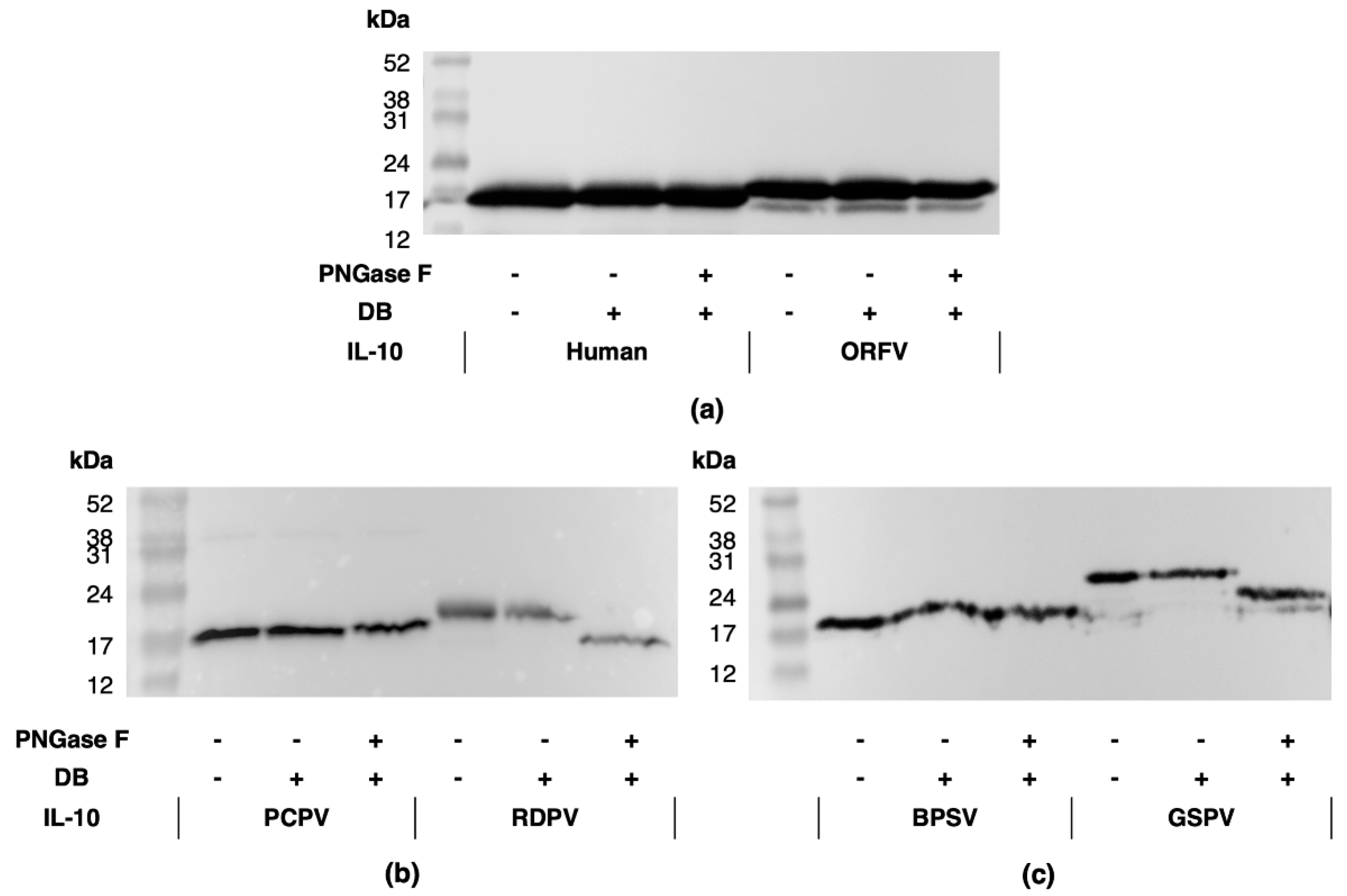 Pathogens 11 00507 g003 550