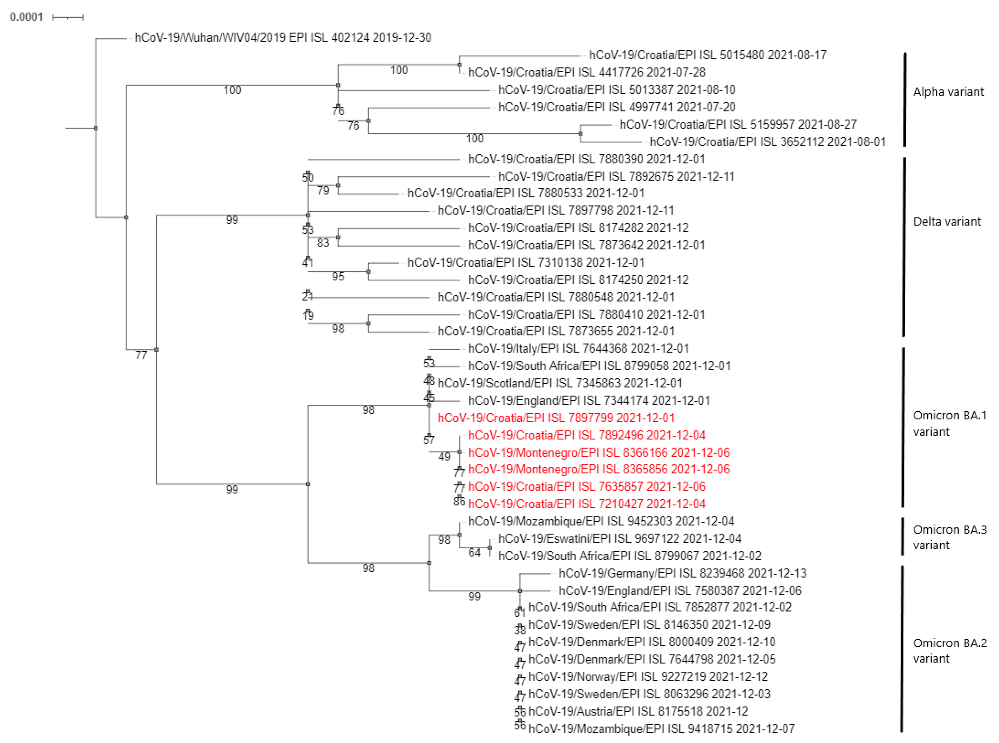 Pathogens 11 00511 g001 550