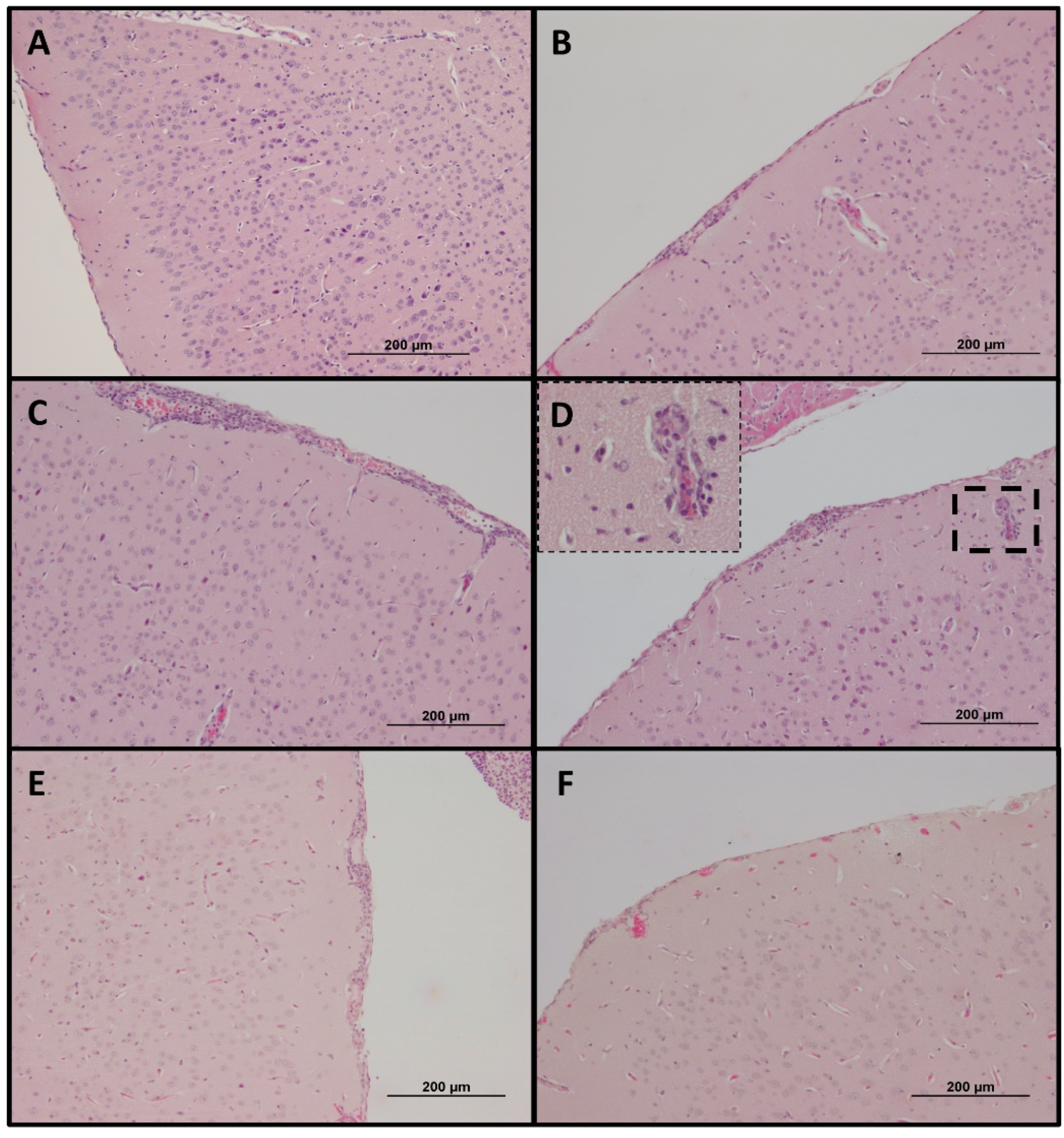 Pathogens 11 00512 g008 550