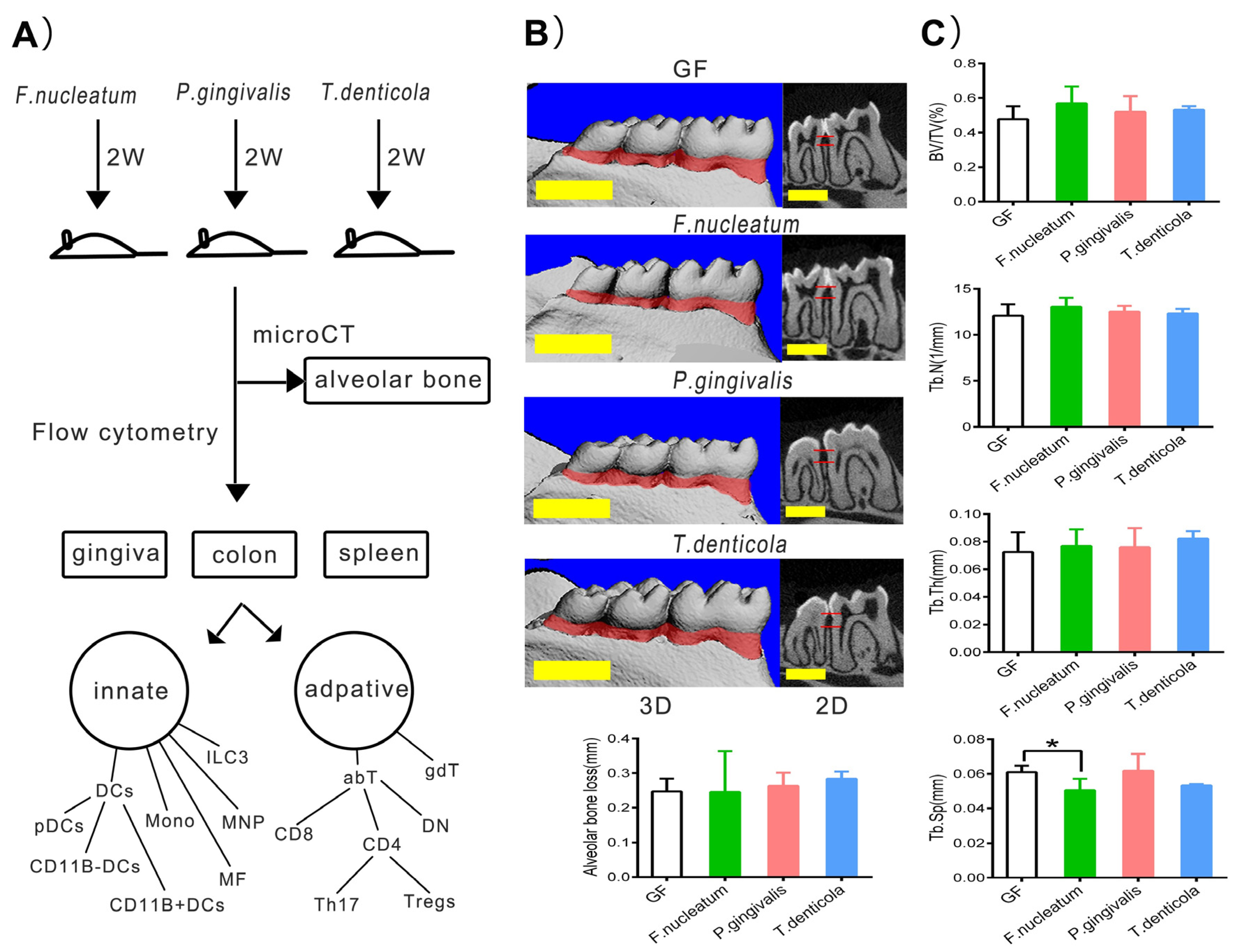 Pathogens 11 00513 g001