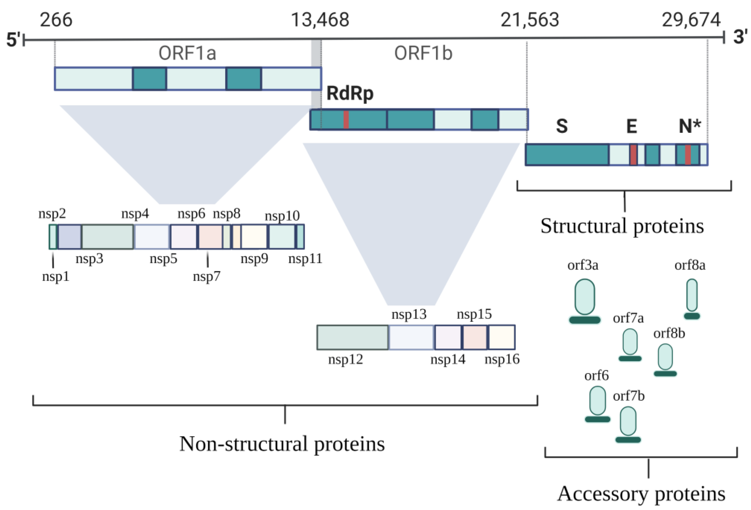 Pathogens 11 00516 g002