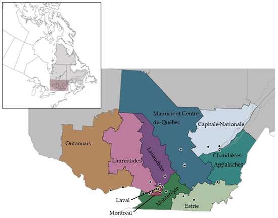 Groupe d'analyse – Montréal - Analysis Group