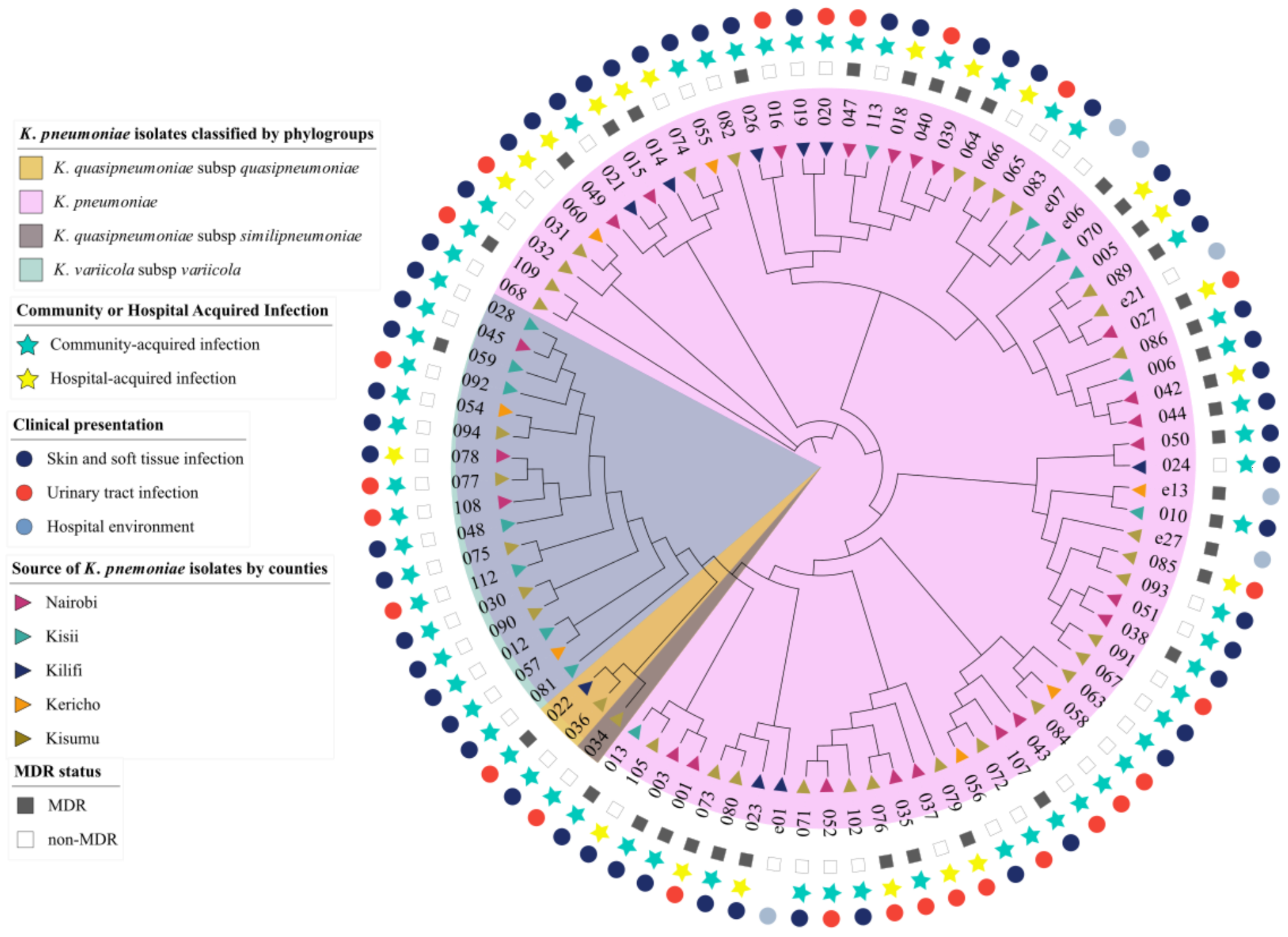 Pathogens 11 00545 g001 Pathogens 11 00545 g001
