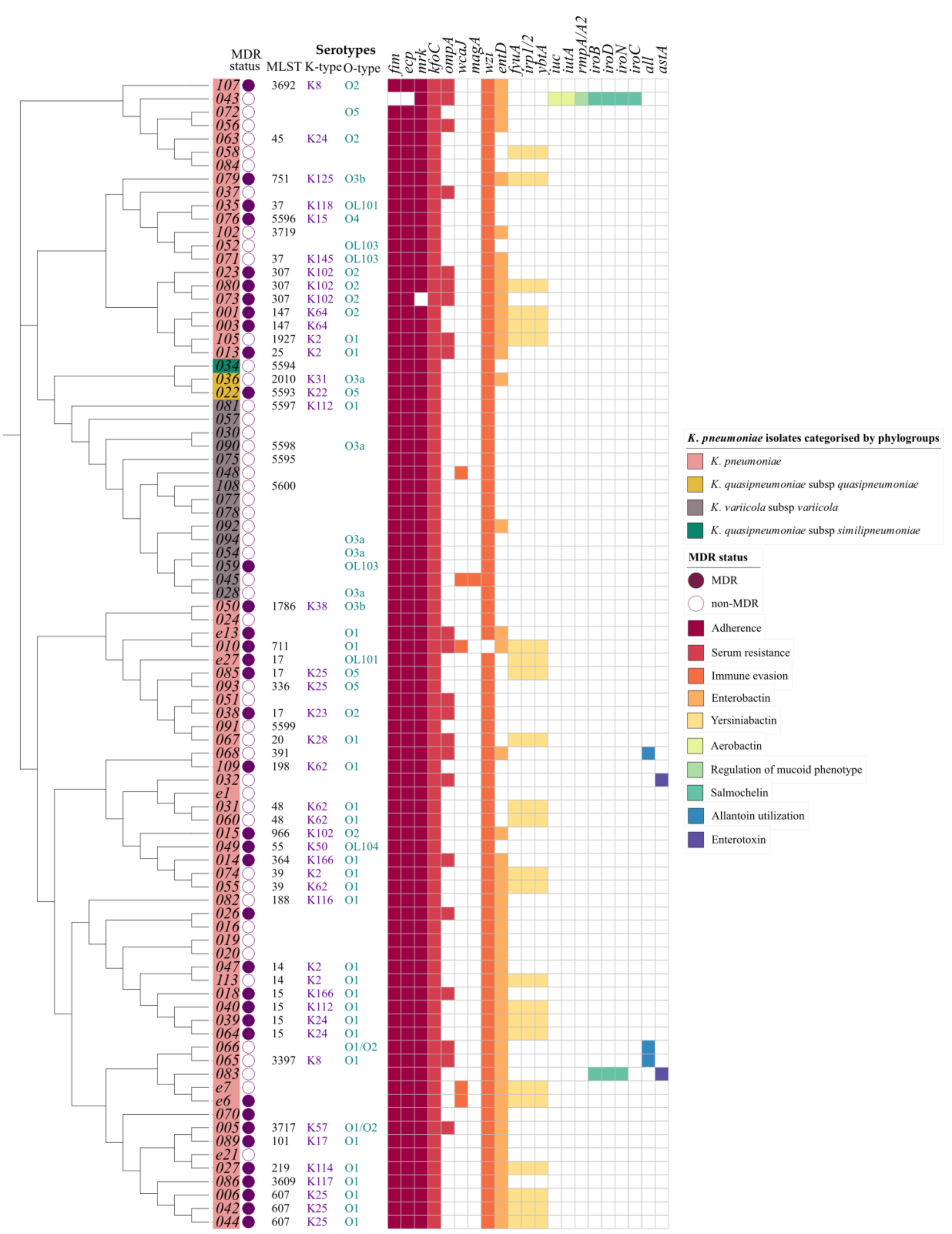 Pathogens 11 00545 g005 Pathogens 11 00545 g005