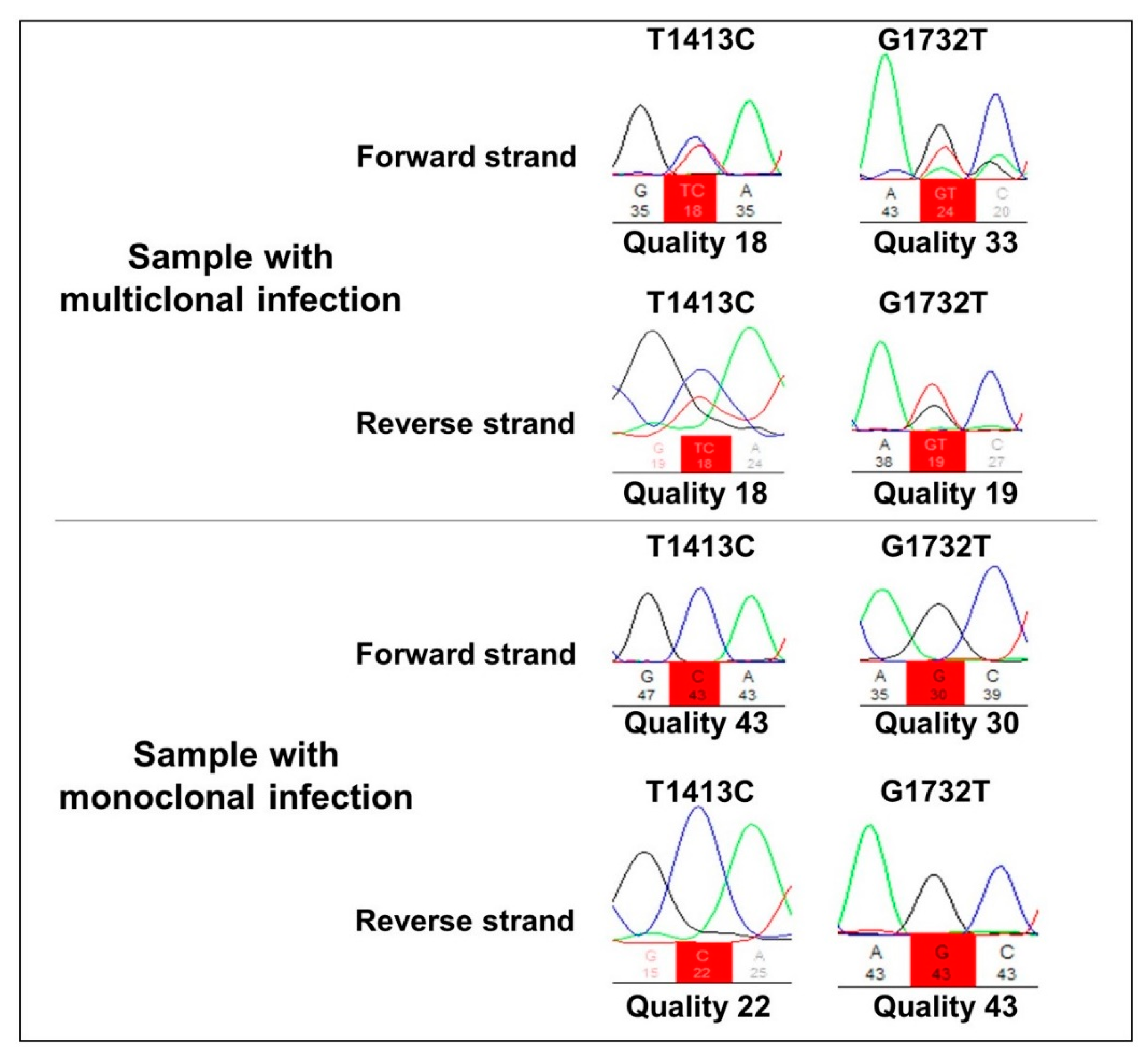 Pathogens 11 00554 g001 Pathogens 11 00554 g001