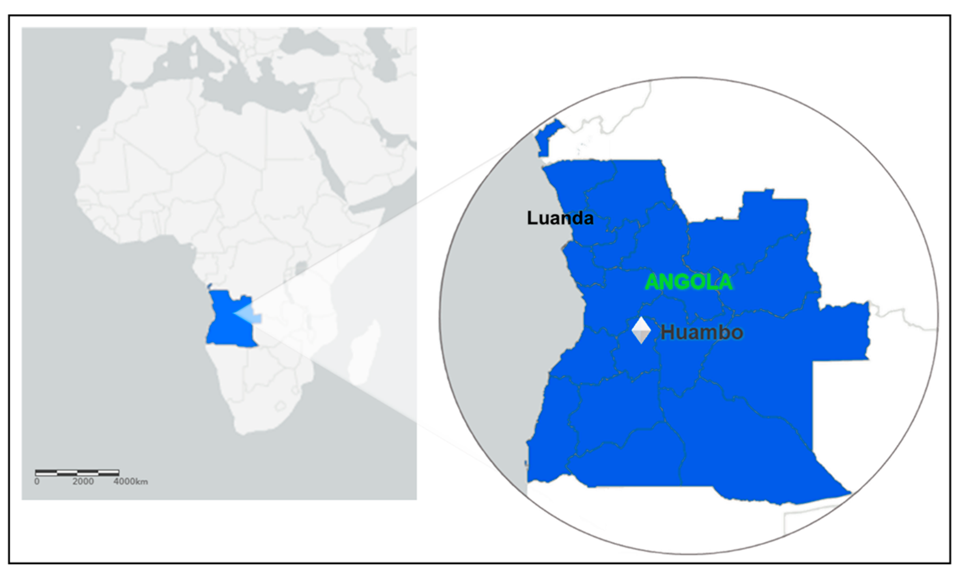 Pathogens 11 00554 g002 Pathogens 11 00554 g002