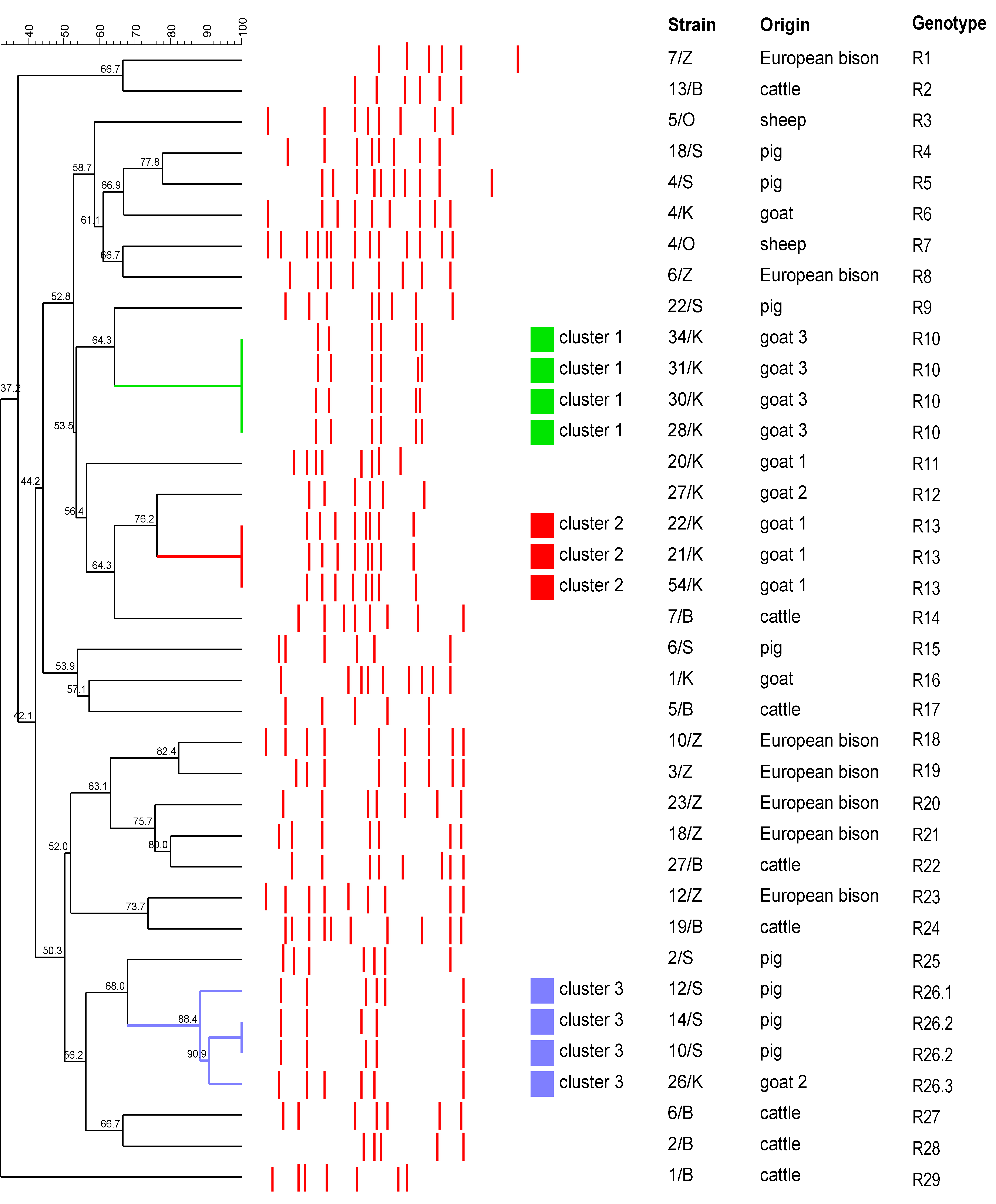Pathogens 11 00562 g003