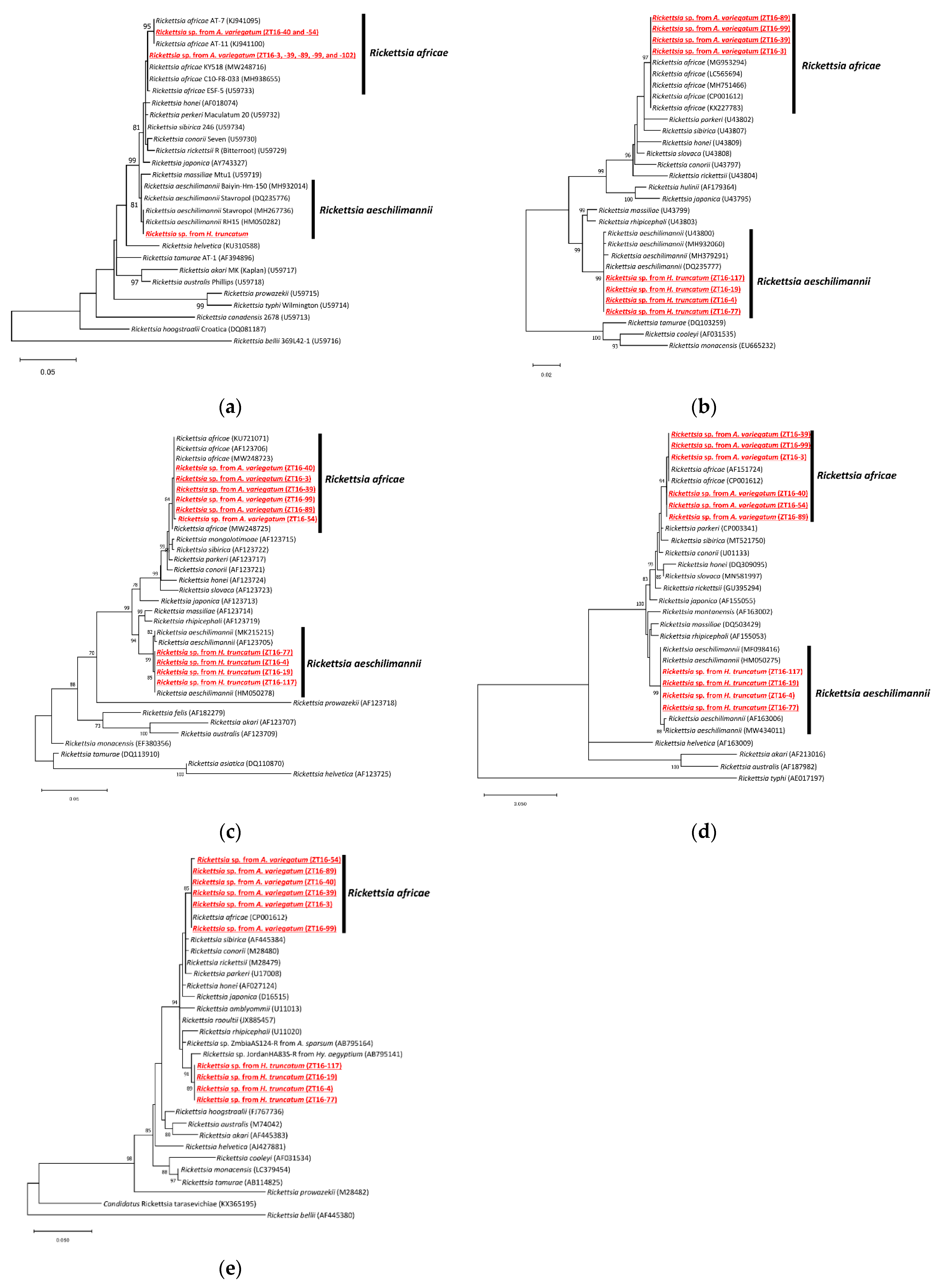 Pathogens 11 00566 g002