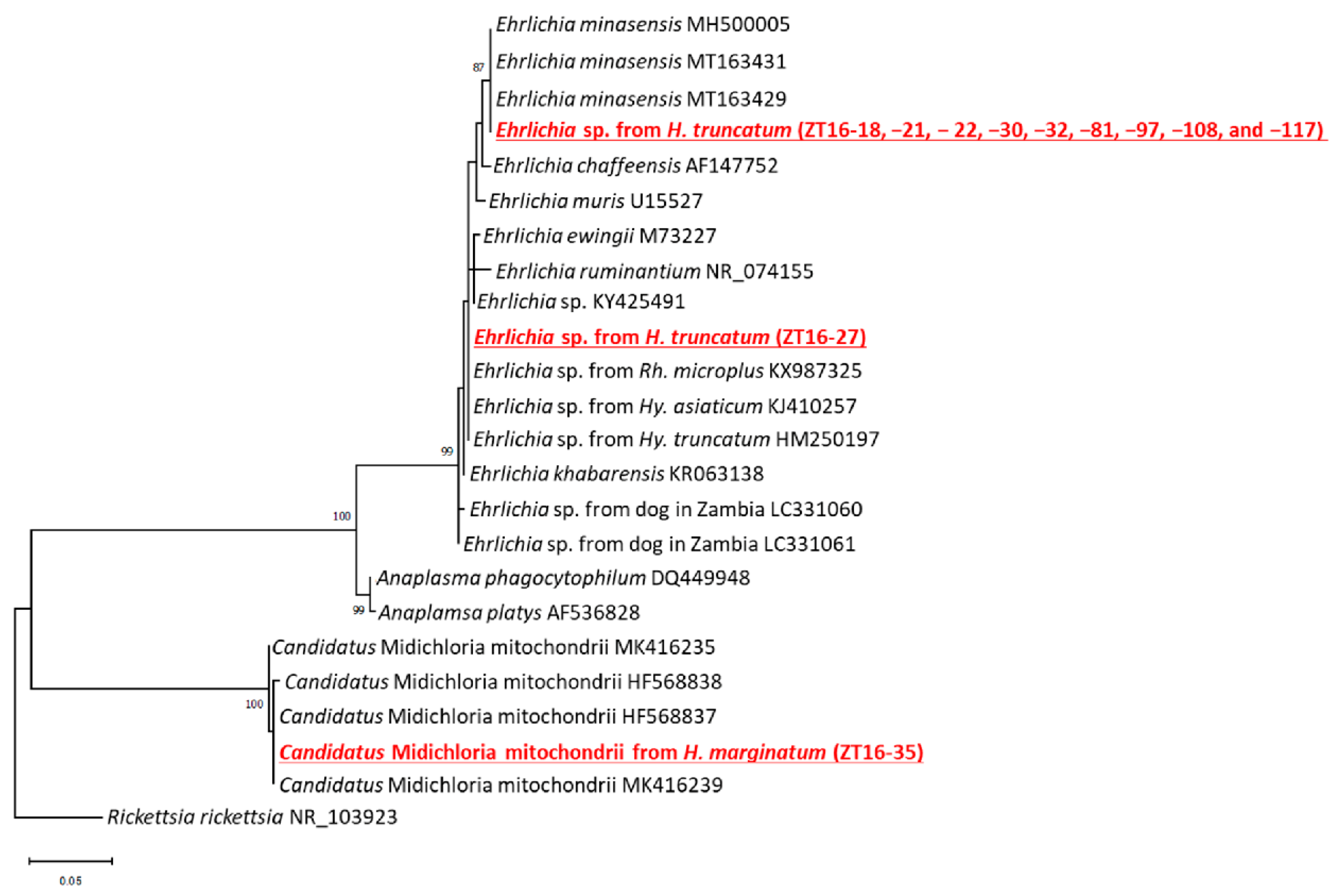 Pathogens 11 00566 g003