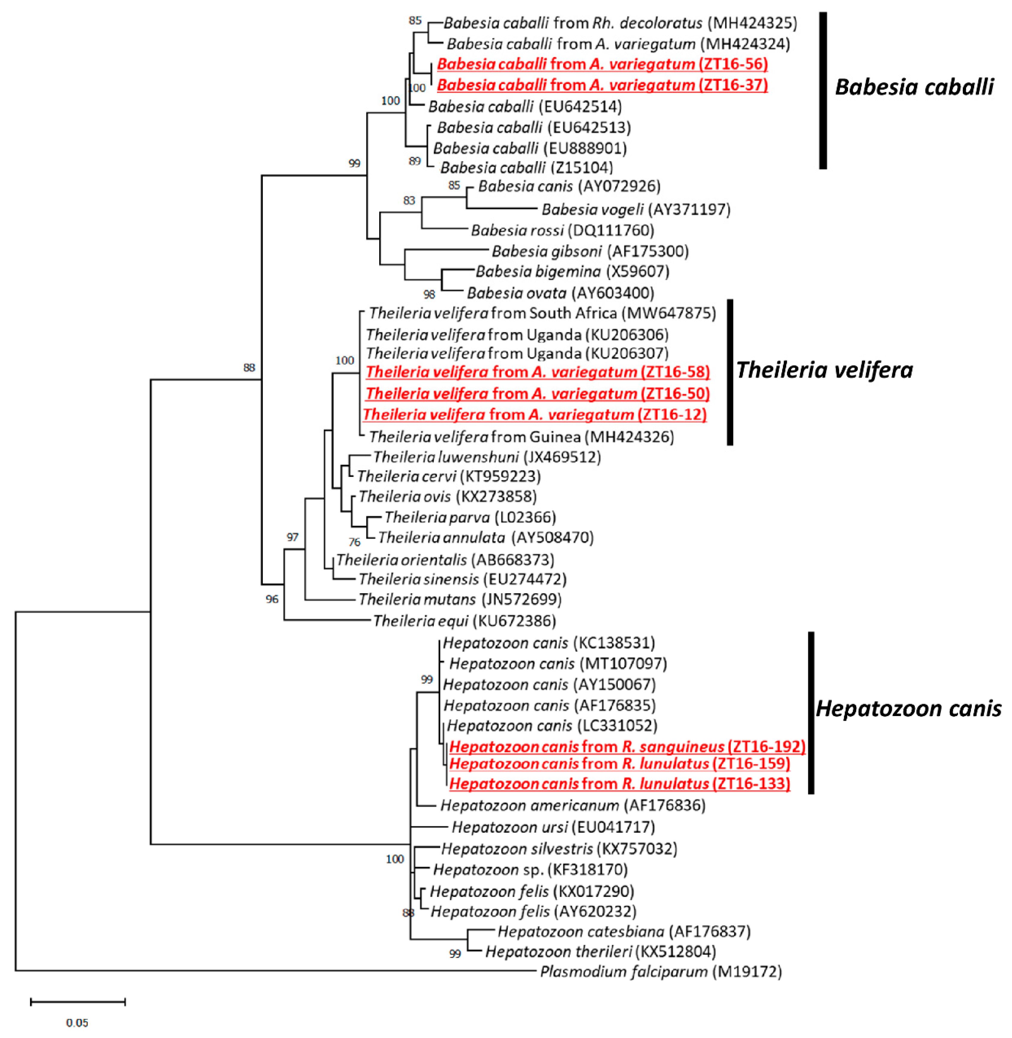 Pathogens 11 00566 g004