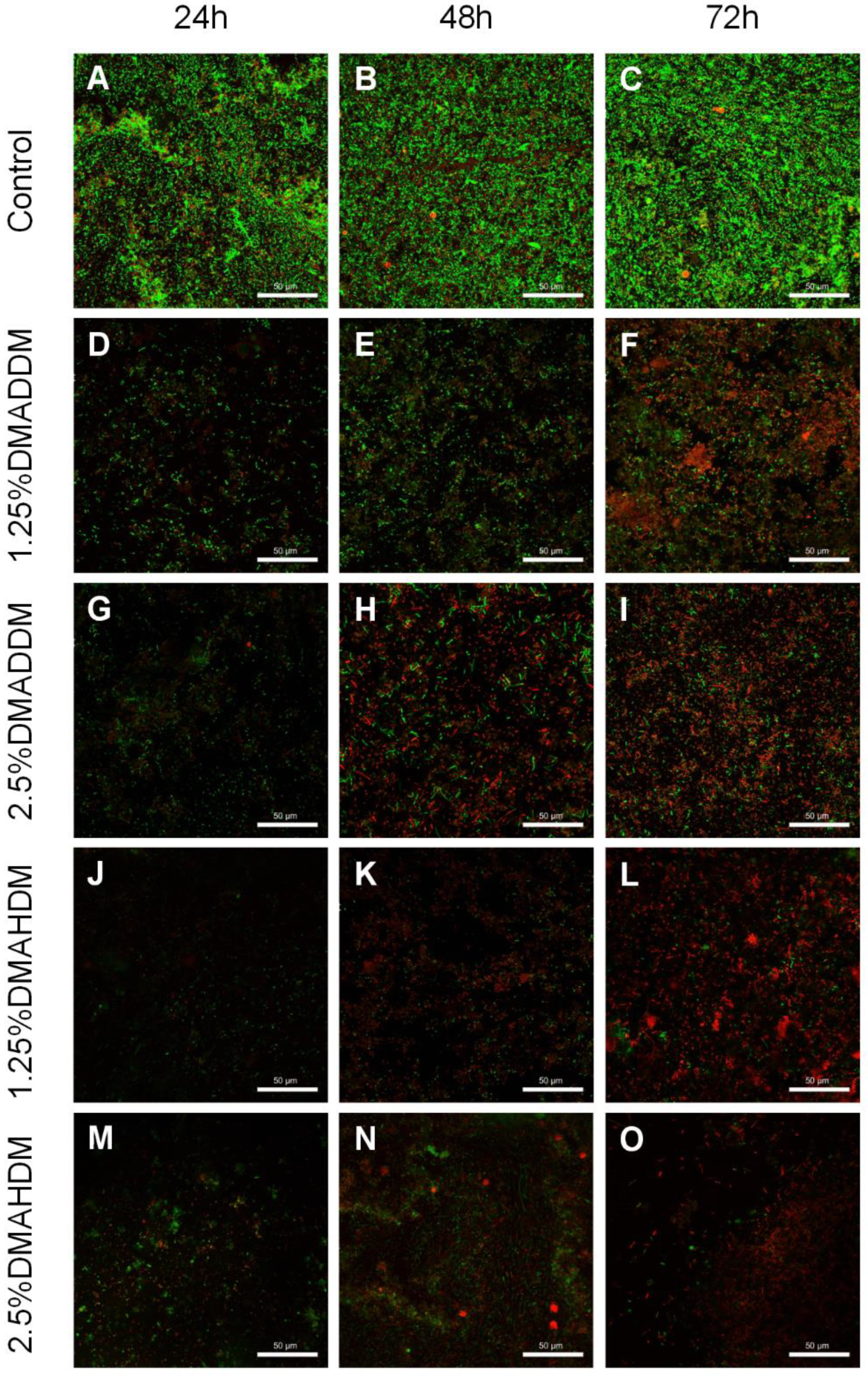 Pathogens 11 00578 g004