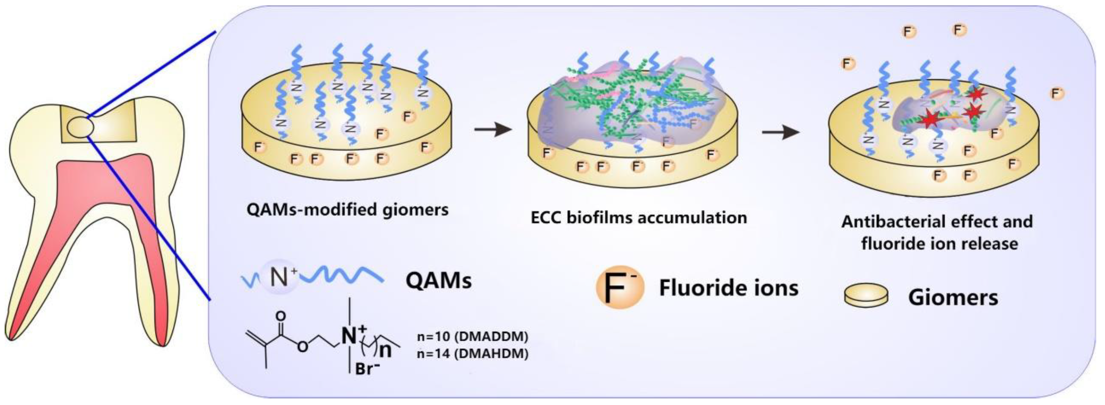Pathogens 11 00578 g008