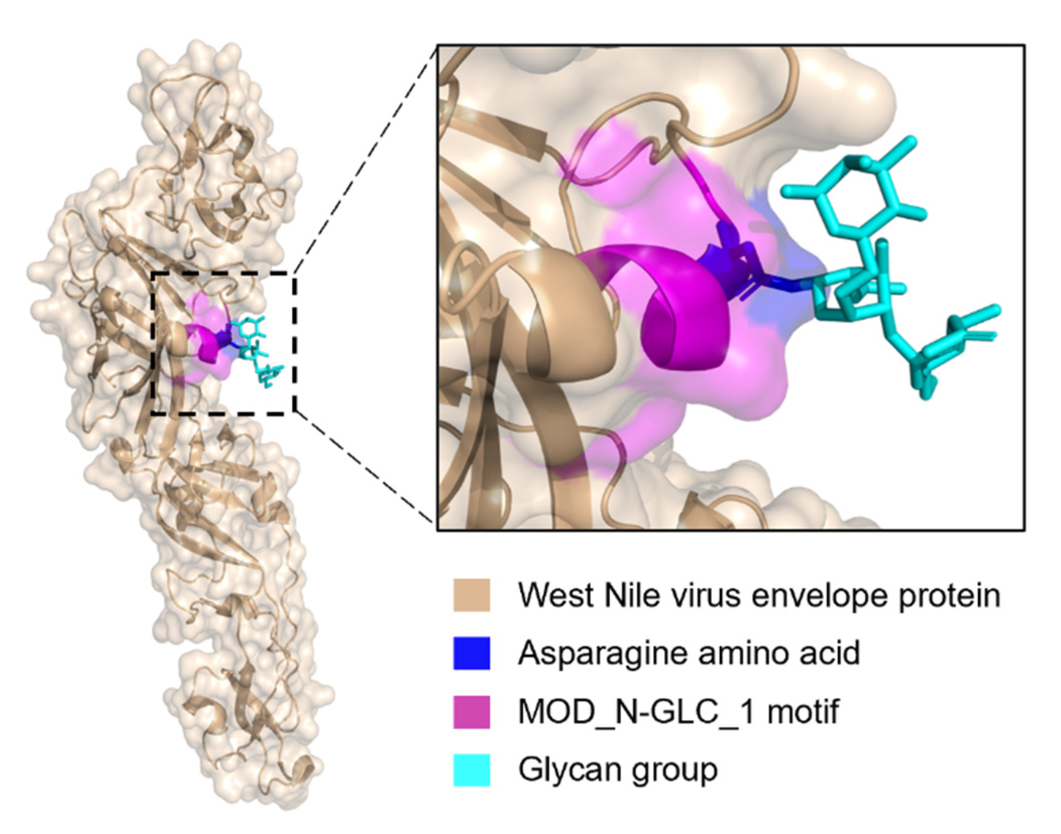 Pathogens 11 00583 g008 Pathogens 11 00583 g008