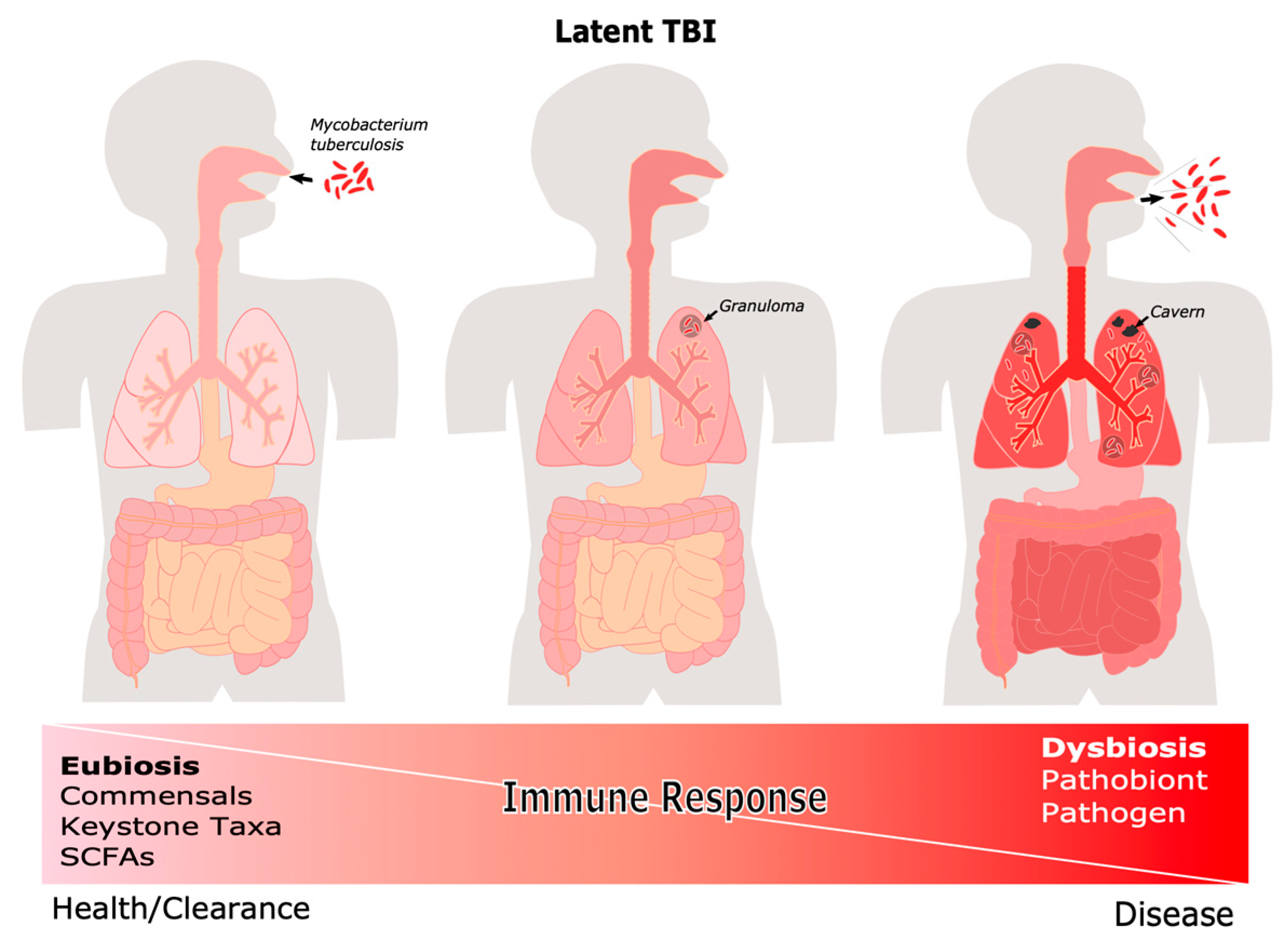 Pathogens 11 00584 g002