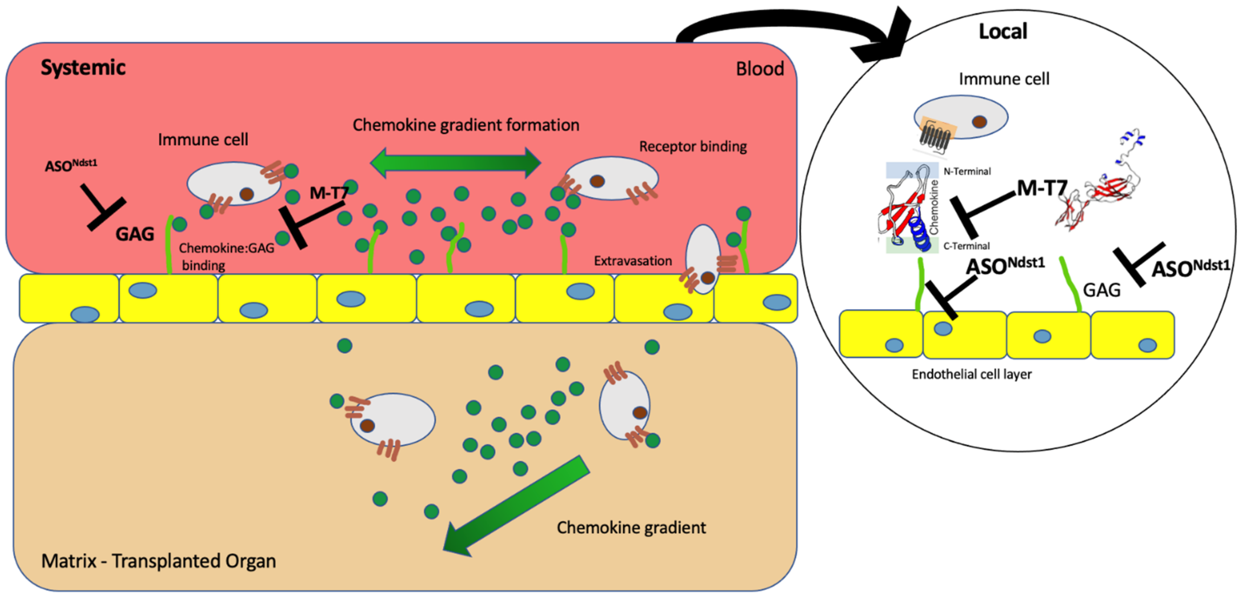 Pathogens 11 00588 g001