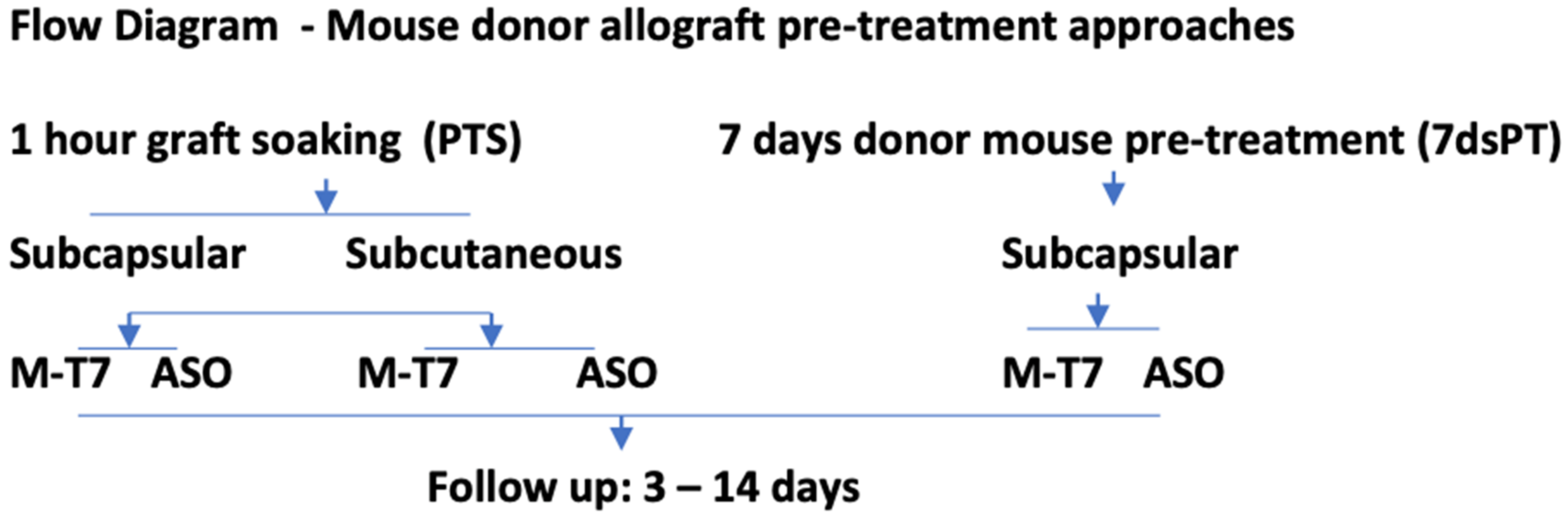 Pathogens 11 00588 g002