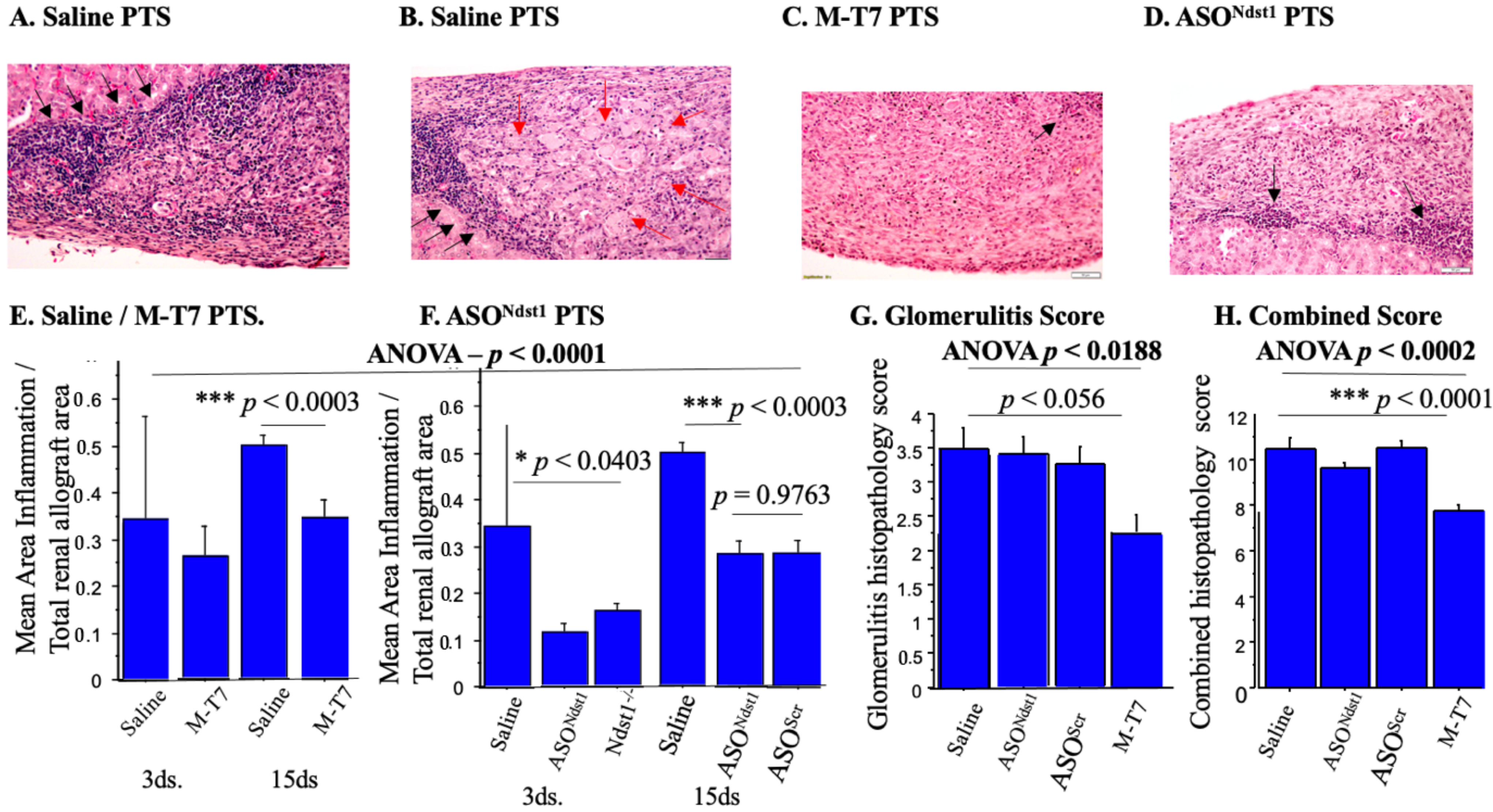 Pathogens 11 00588 g003