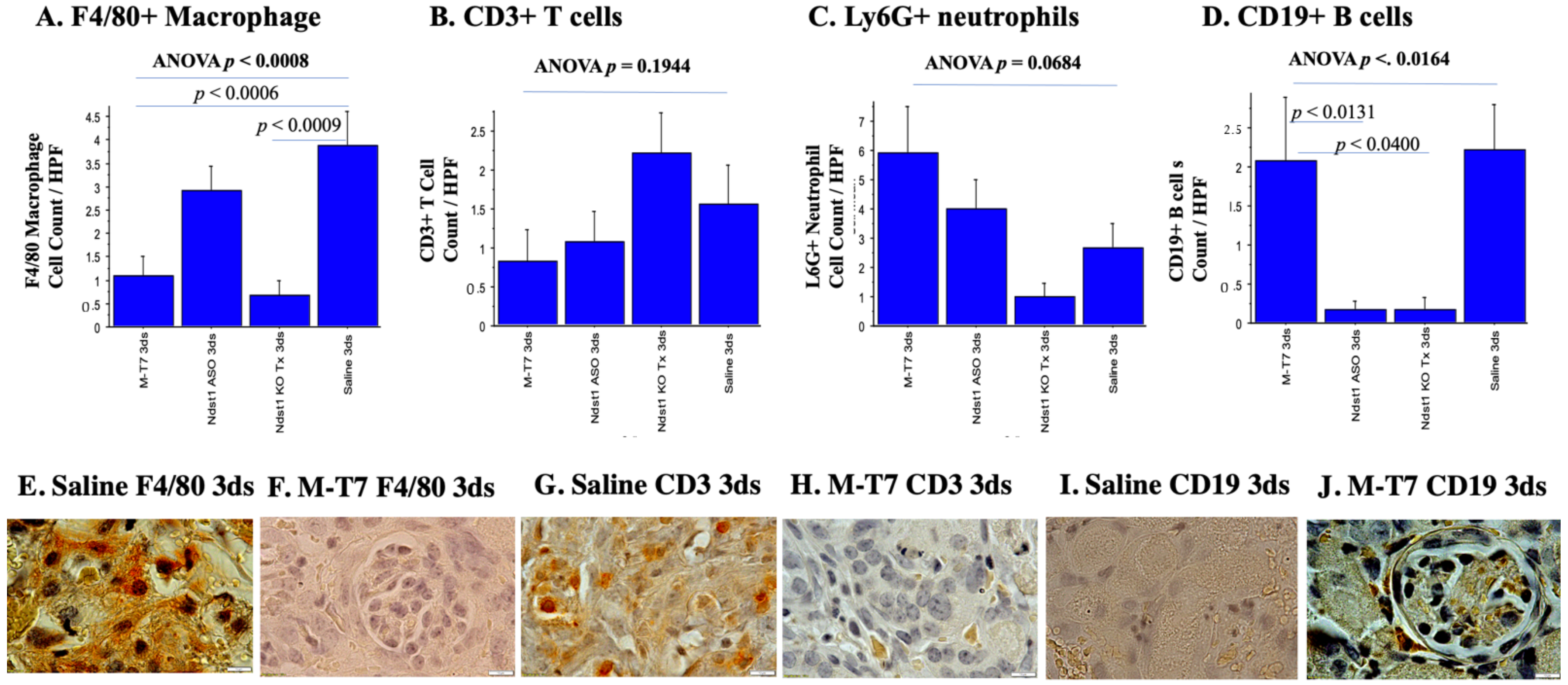 Pathogens 11 00588 g005