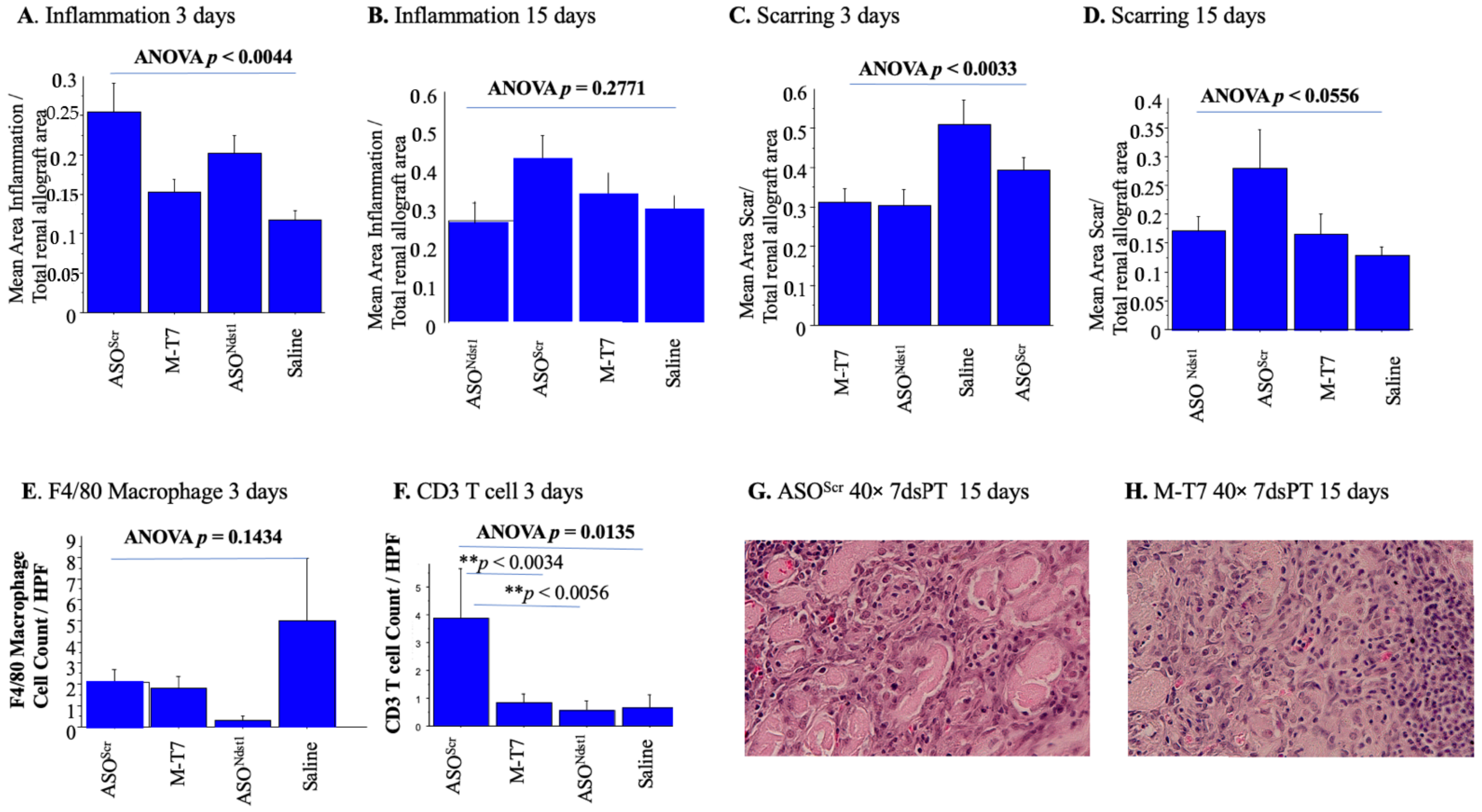 Pathogens 11 00588 g006