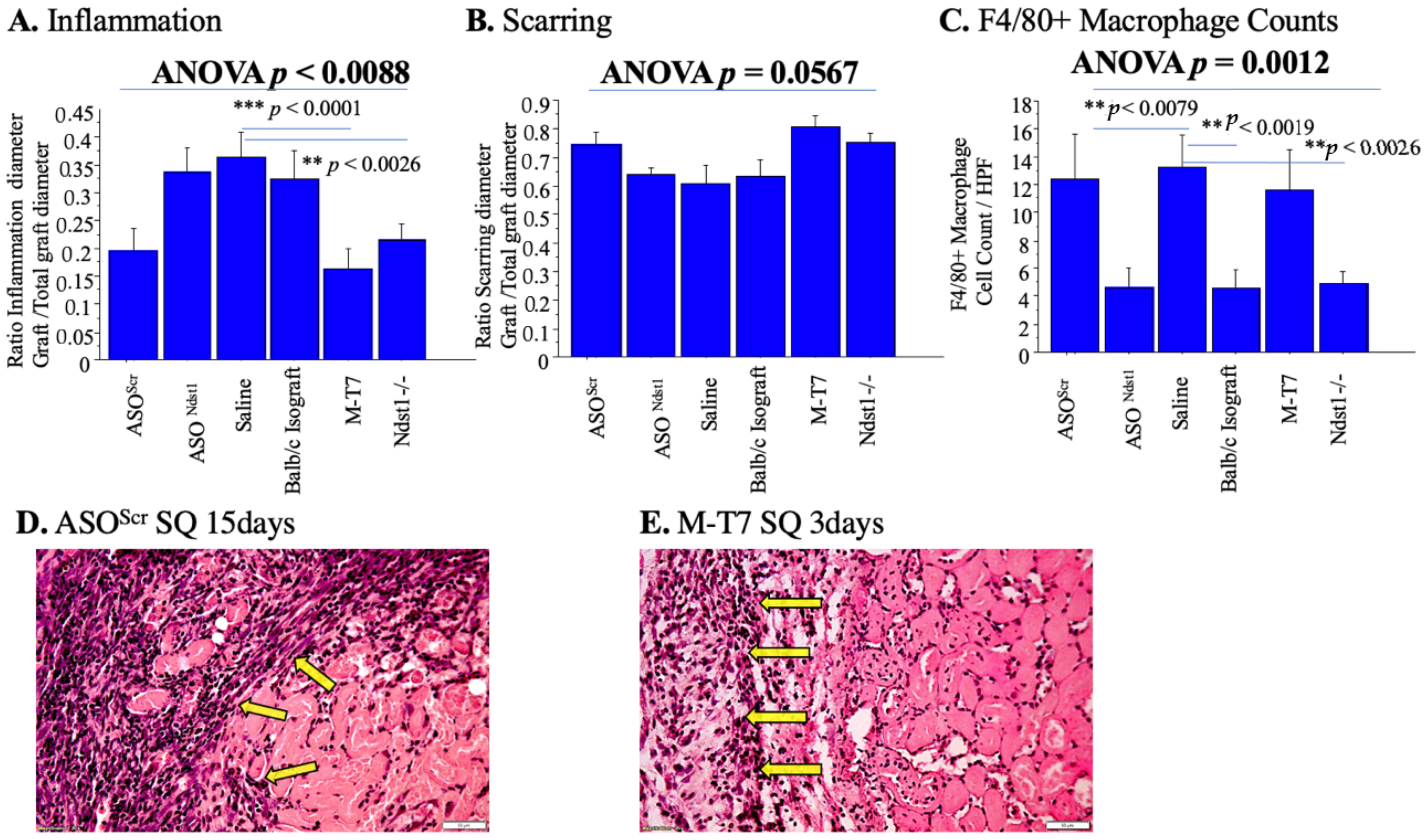 Pathogens 11 00588 g008